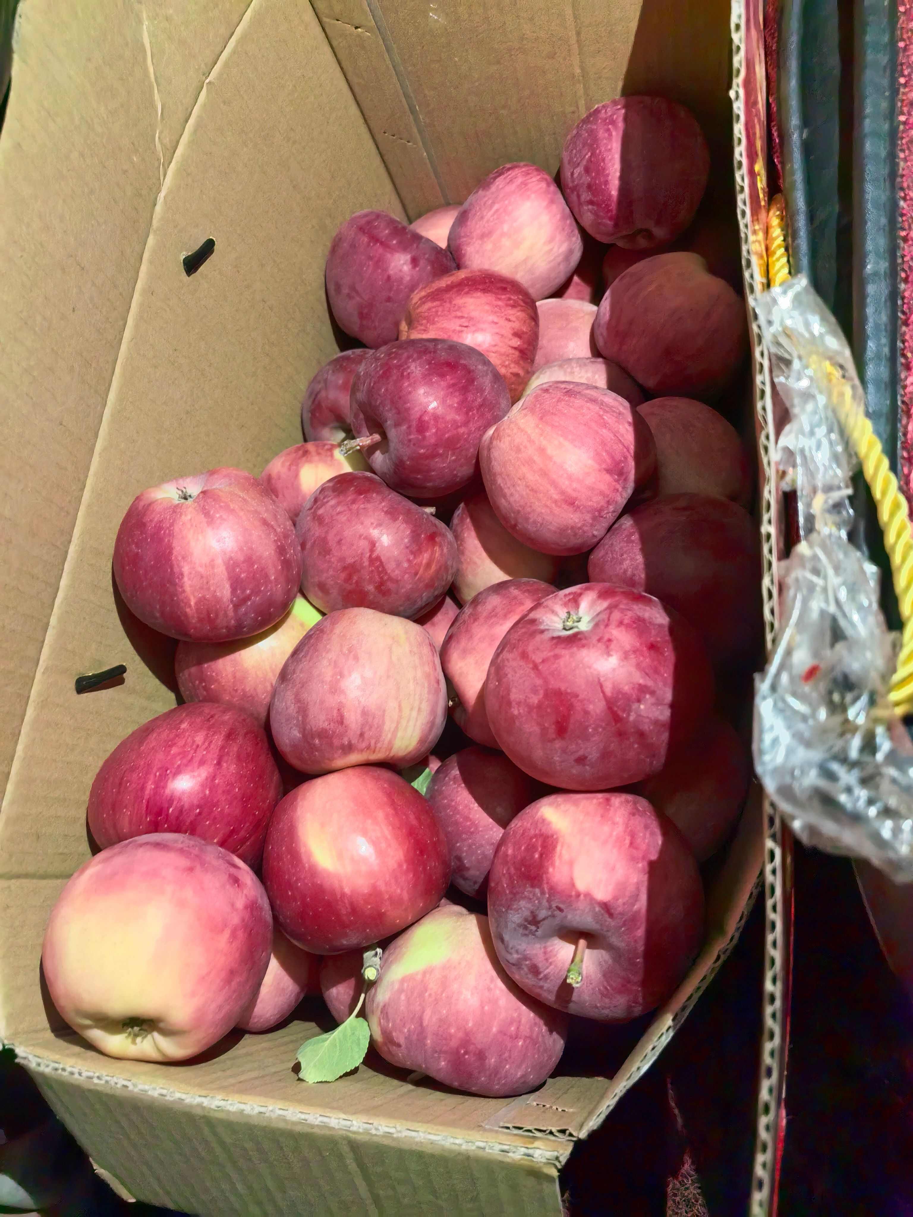 山西运城万荣青苹果 新鲜水果核果仁果类优质苹果