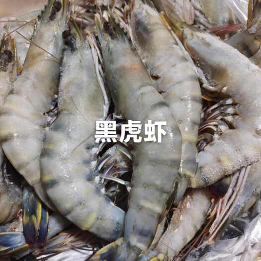 连云港2125黑虎虾
