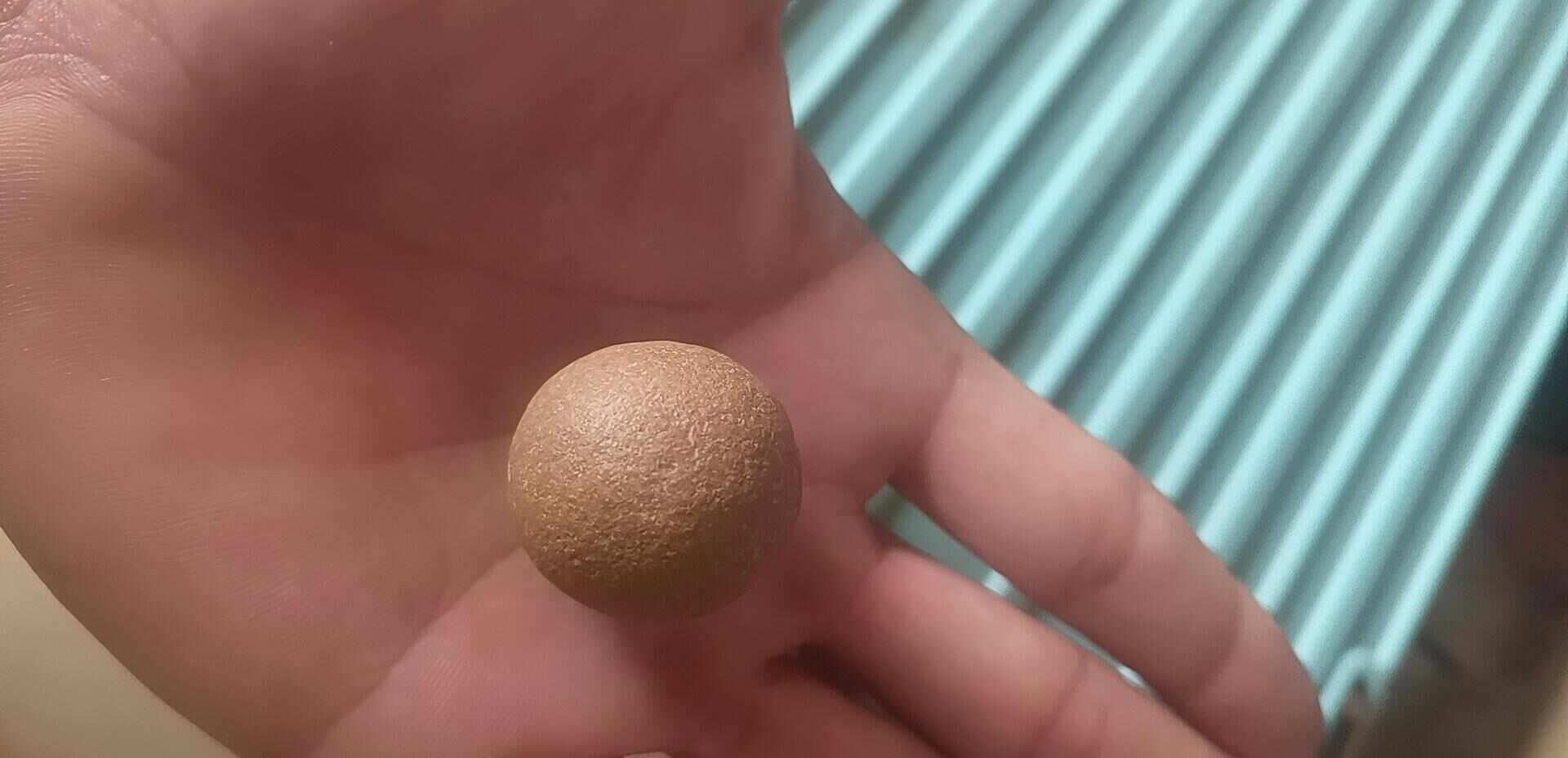 羊结石