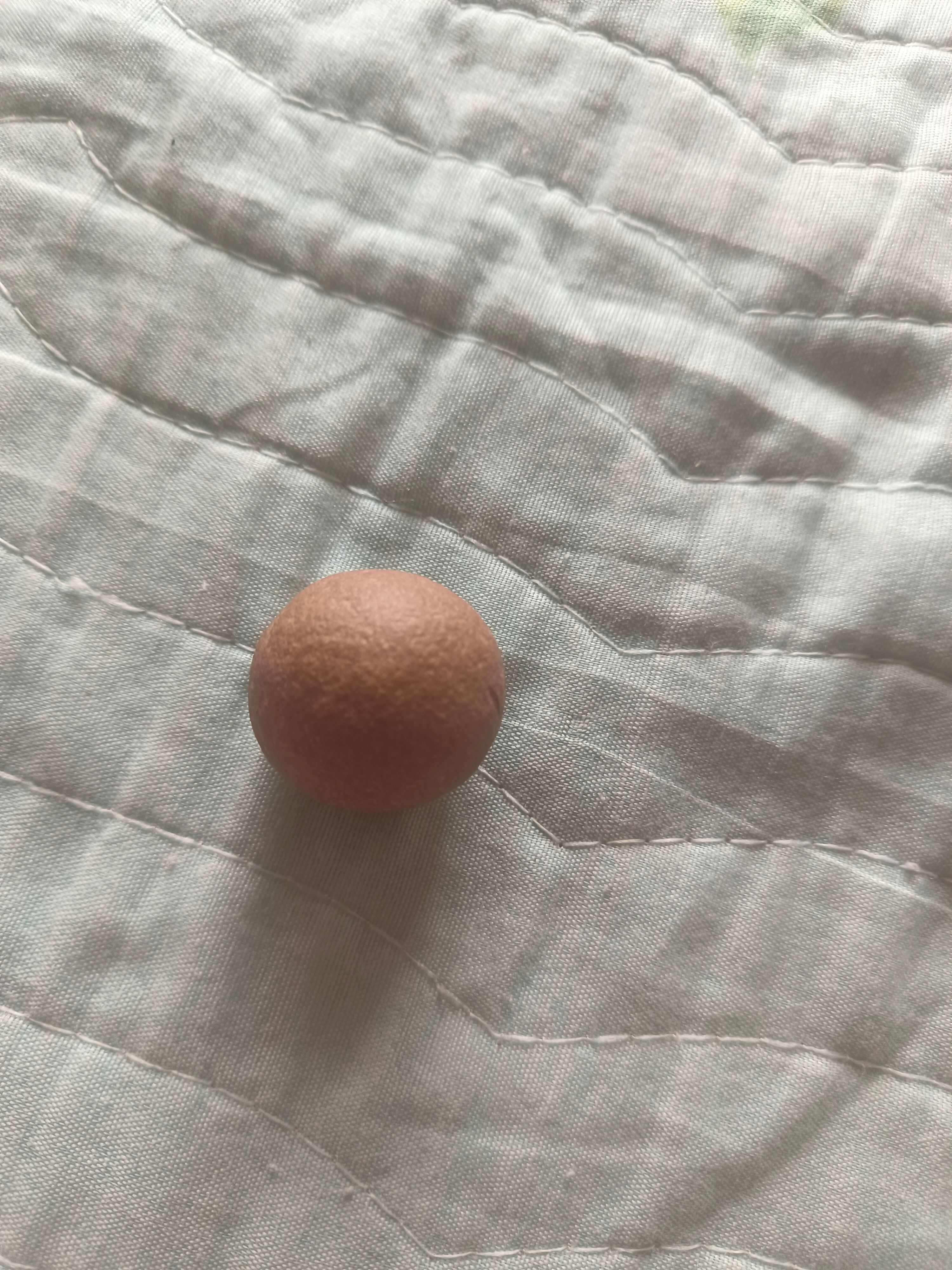 羊结石