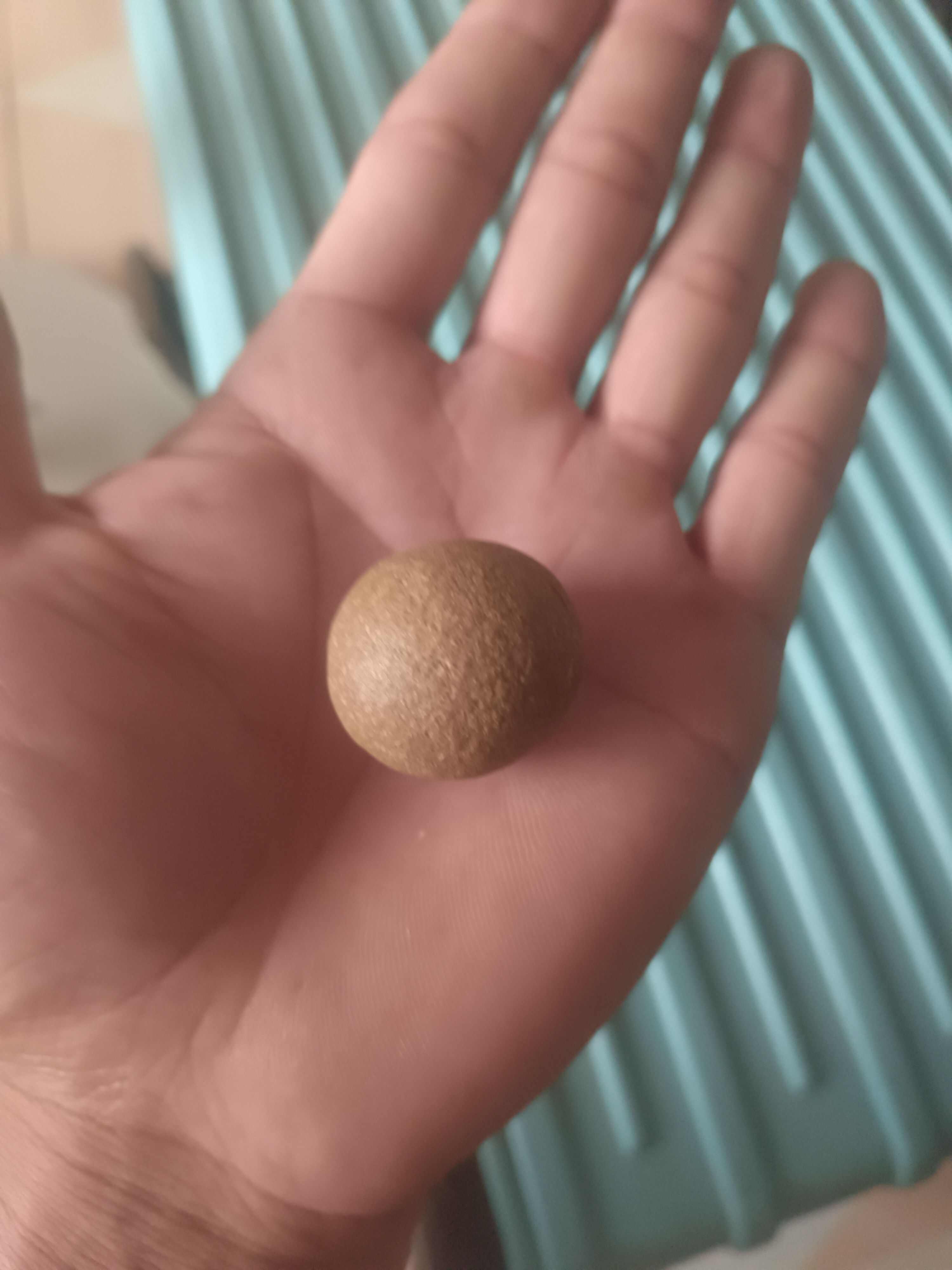 羊结石