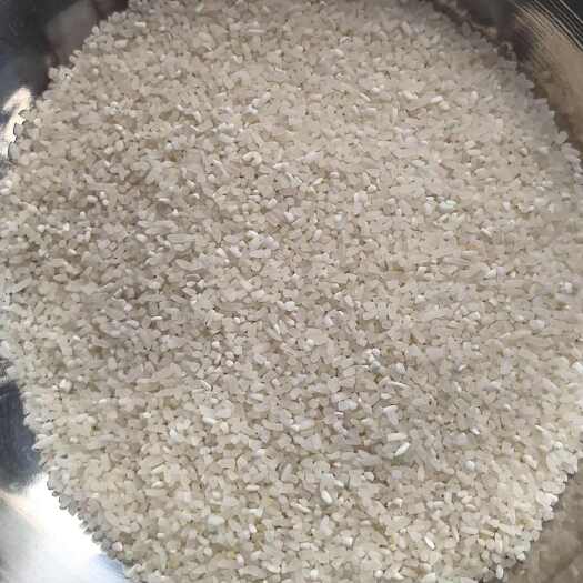 钦州碎米缅甸碎米米粉雪饼专用碎米