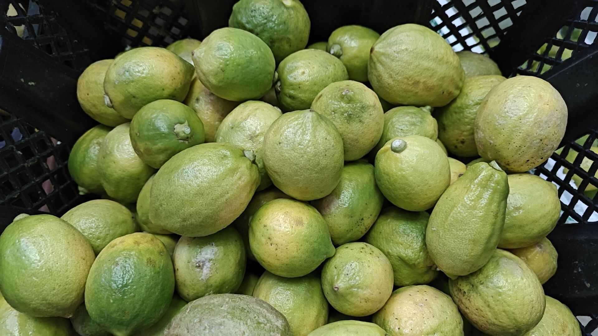 香水柠檬新鲜黄果，次果
