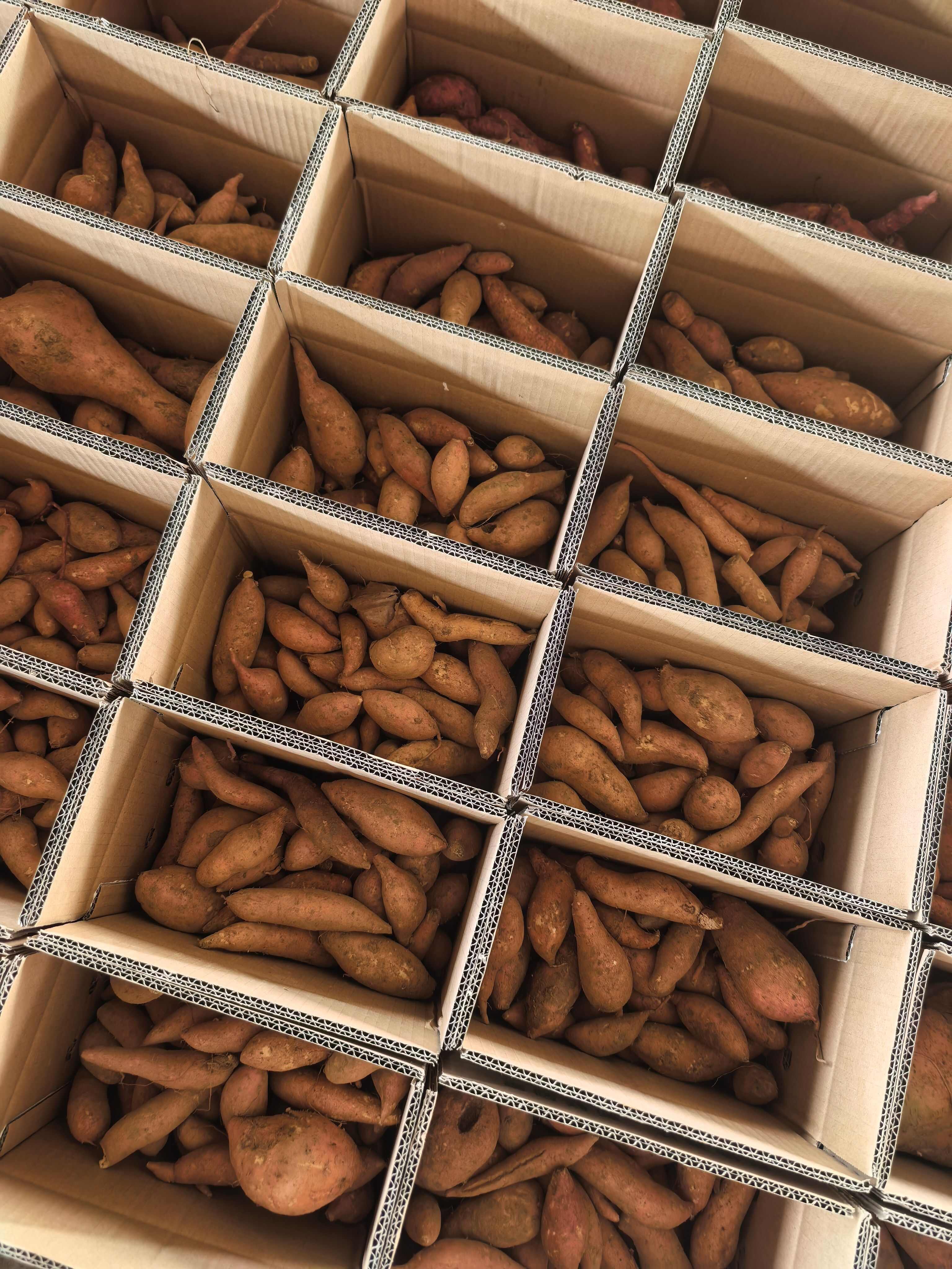 红薯烟薯电商一件代发 基地直供 量大优惠24小时揽收发货