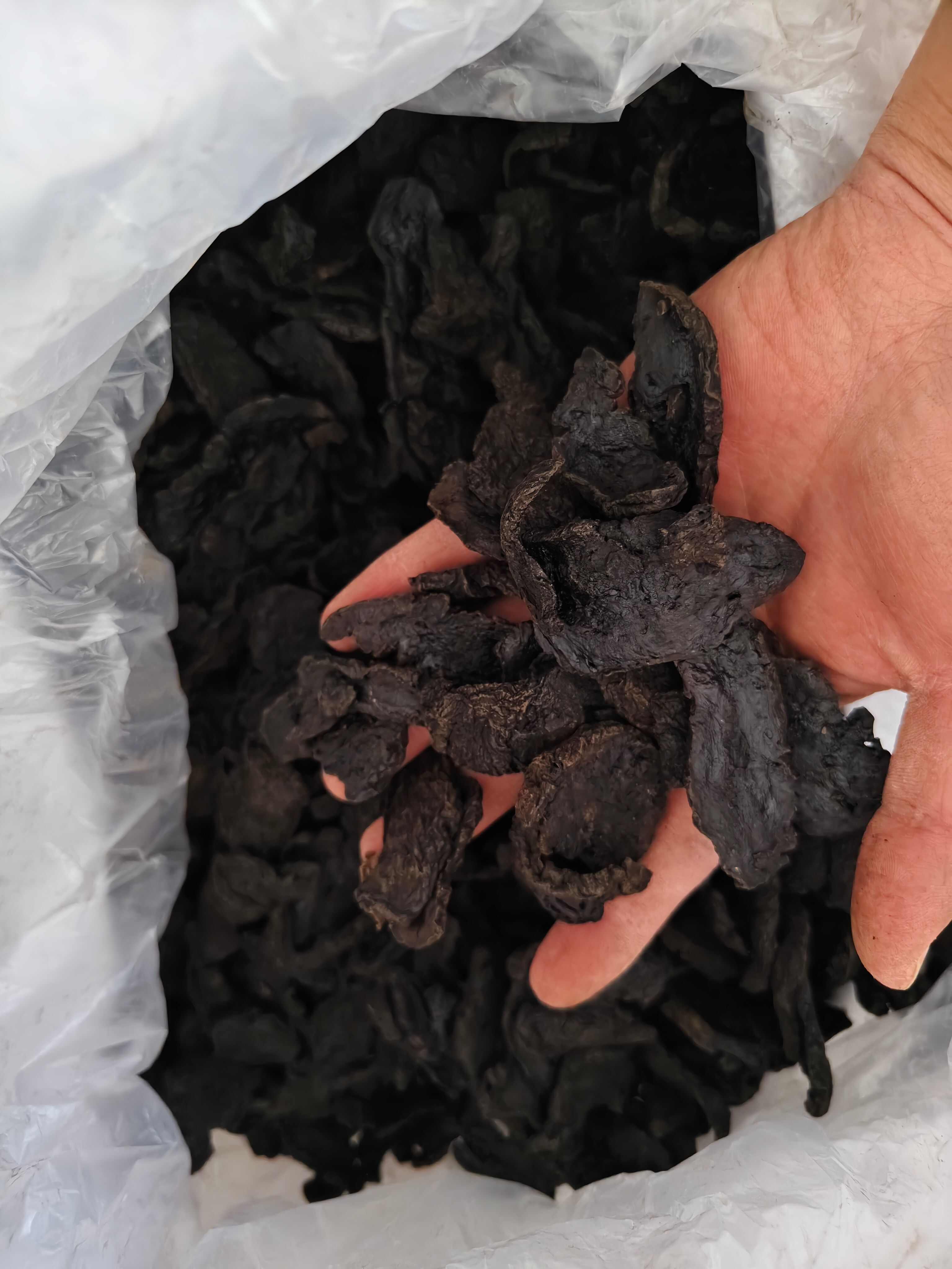 地黄 各种规格生地 熟地 齐全 批发零售