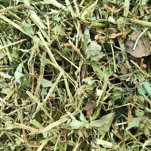 驻马店花生秧喂牛羊好饲草无土无膜无霉