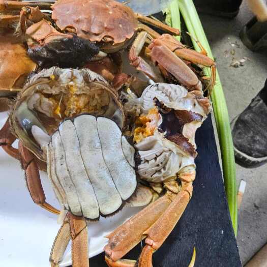 唐山这里是河北唐山丰南区放心好吃的稻田蟹来喽