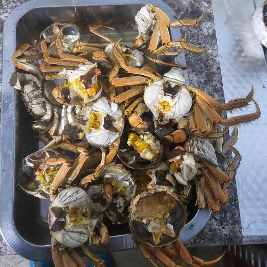 唐山这里是河北唐山丰南区放心又好吃的稻田蟹来啦