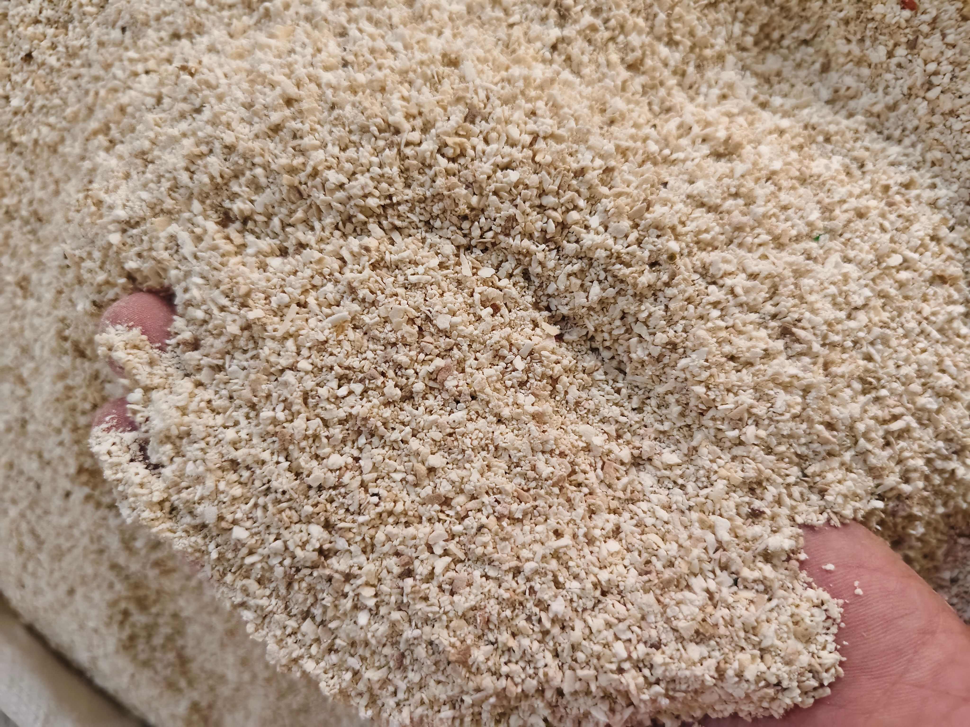 茯苓片 碎块 茯苓碎片过筛无沫 各种规格 批发零售