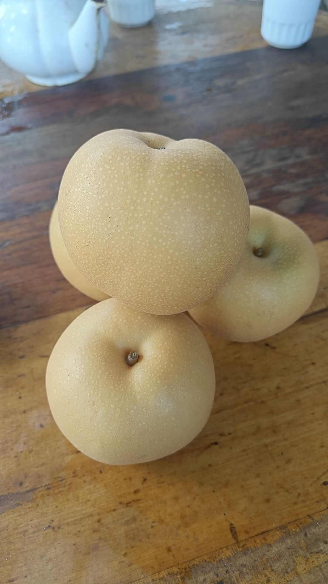 秋月梨，