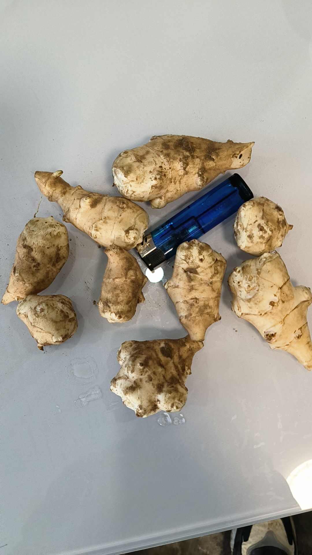 洋姜大量发货，产地直供需要联系，