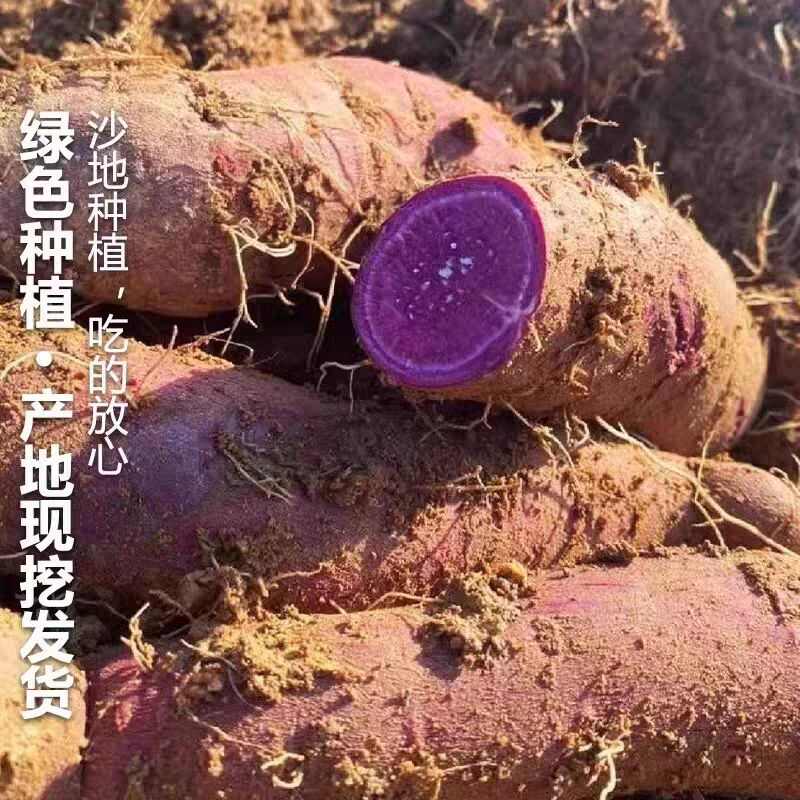紫薯