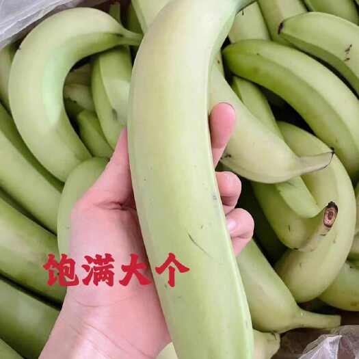 电商香蕉，单根香蕉，大量供货