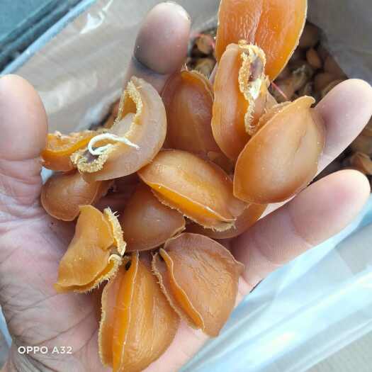 莆田鲍鱼干  南日岛鲍鱼，鲍农直销，价格实惠，规格齐全，是您养生
