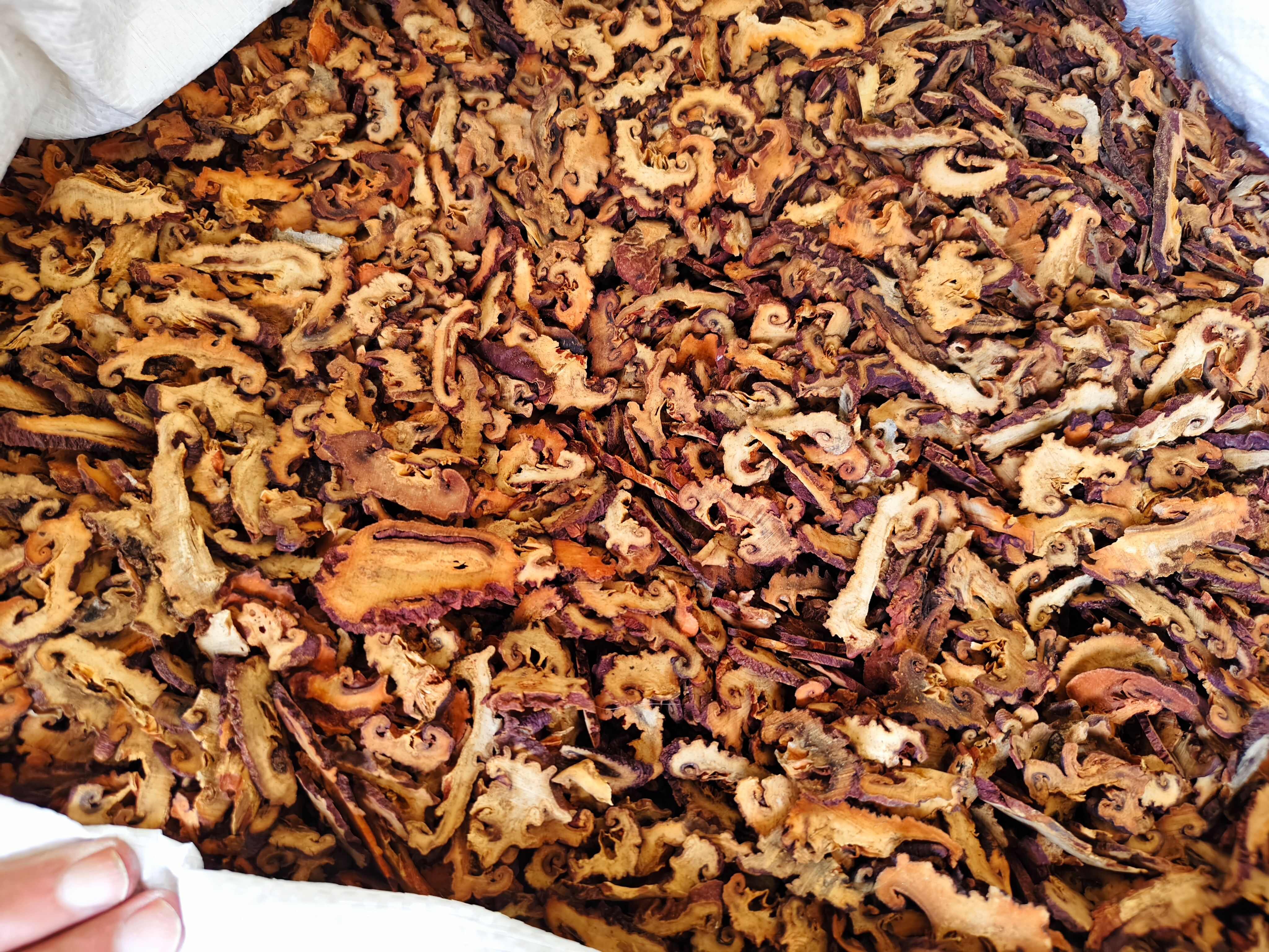 皱木瓜 各种规格皱木瓜切片齐全 批发零售