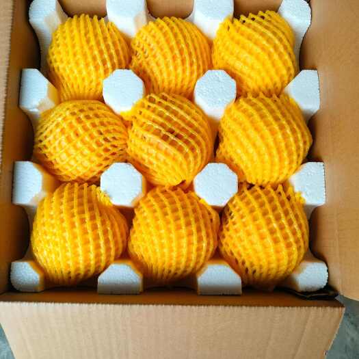 乾县陕西大黄桃。精品大果。送礼优质大黄桃。