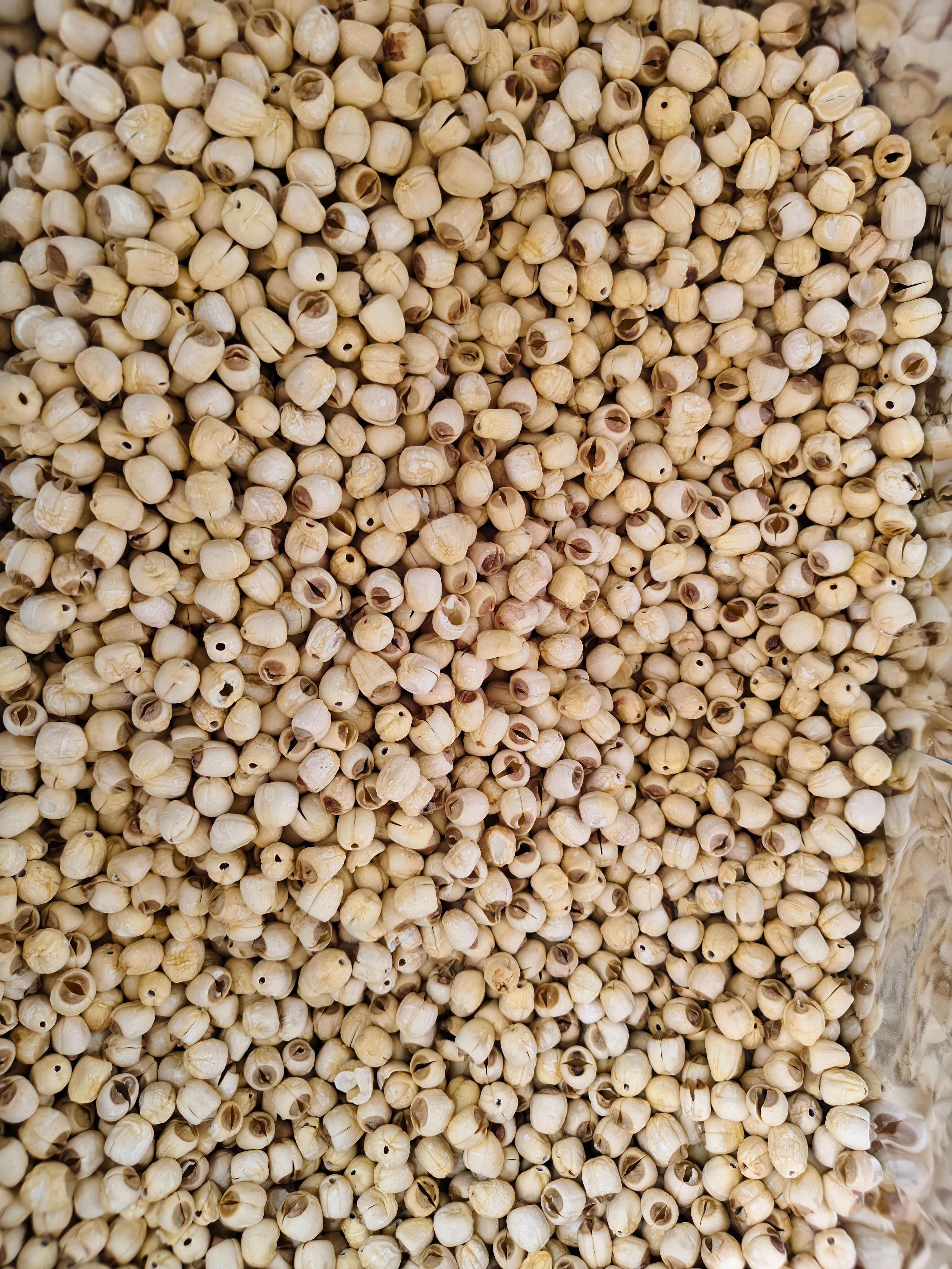 白莲子 新货优质白莲子批发零售 量大从优