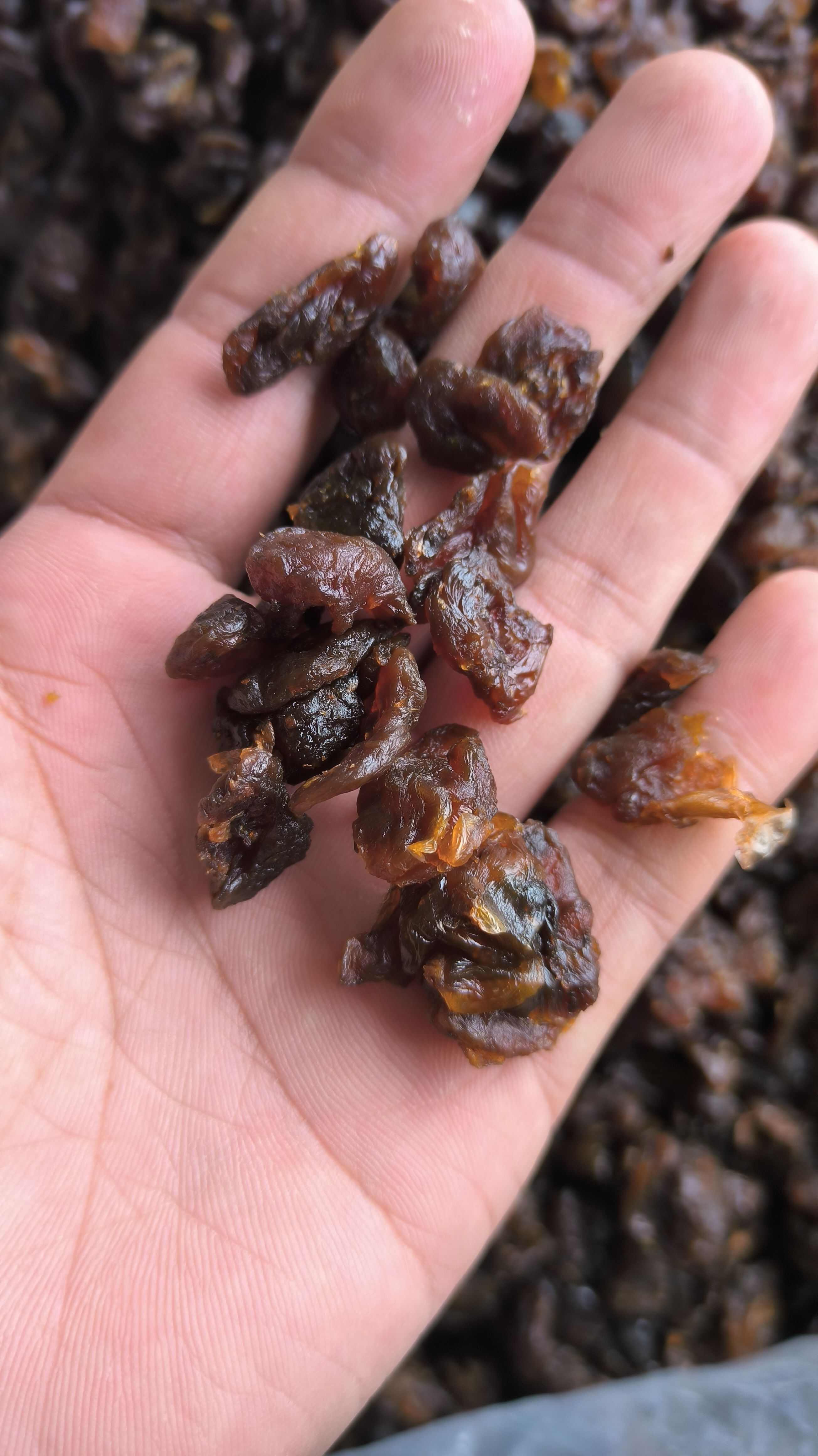 桂圆肉 龙眼肉 无核无壳 质量保证 诚信经营 量大从优……