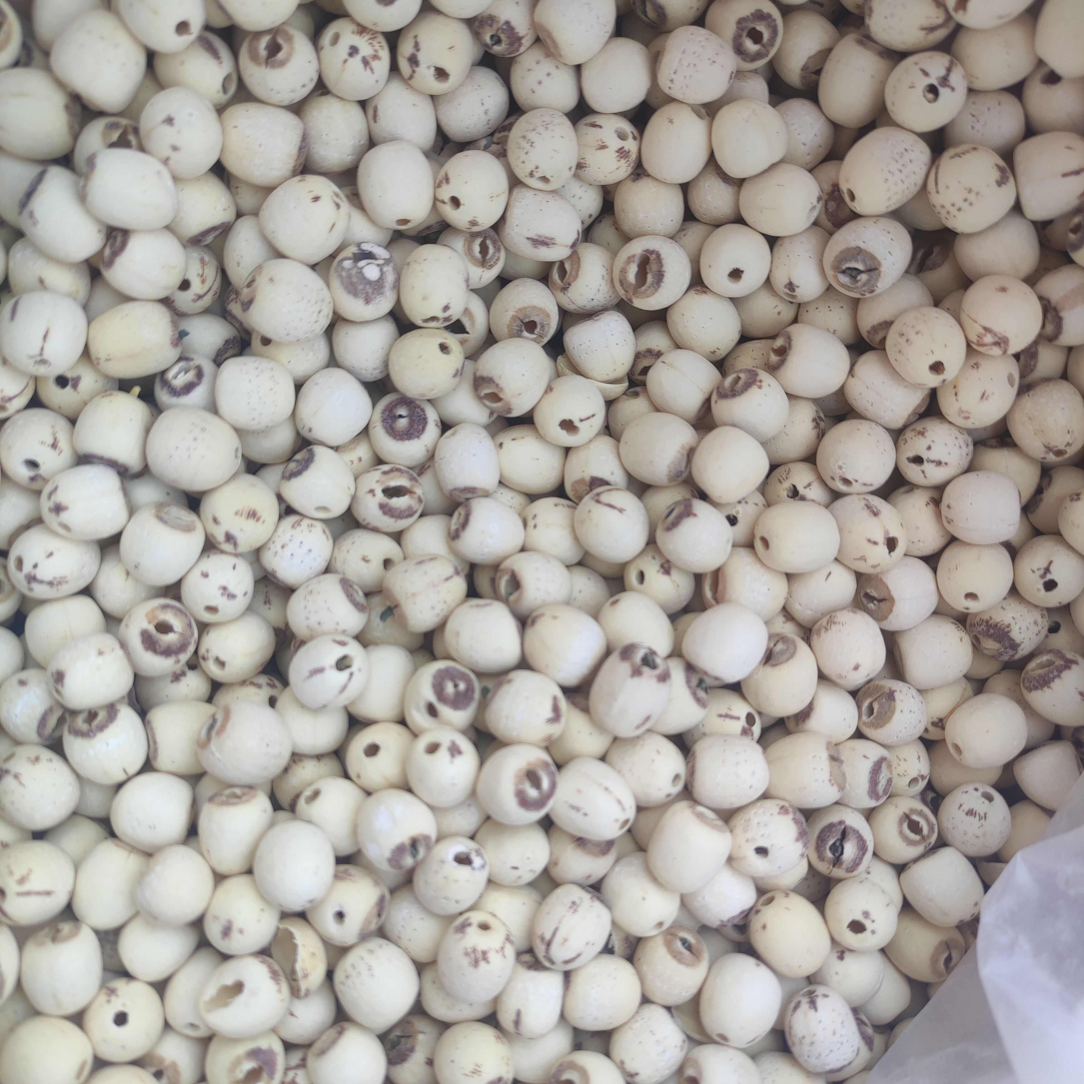 白莲子 新货优质白莲子批发零售 量大从优