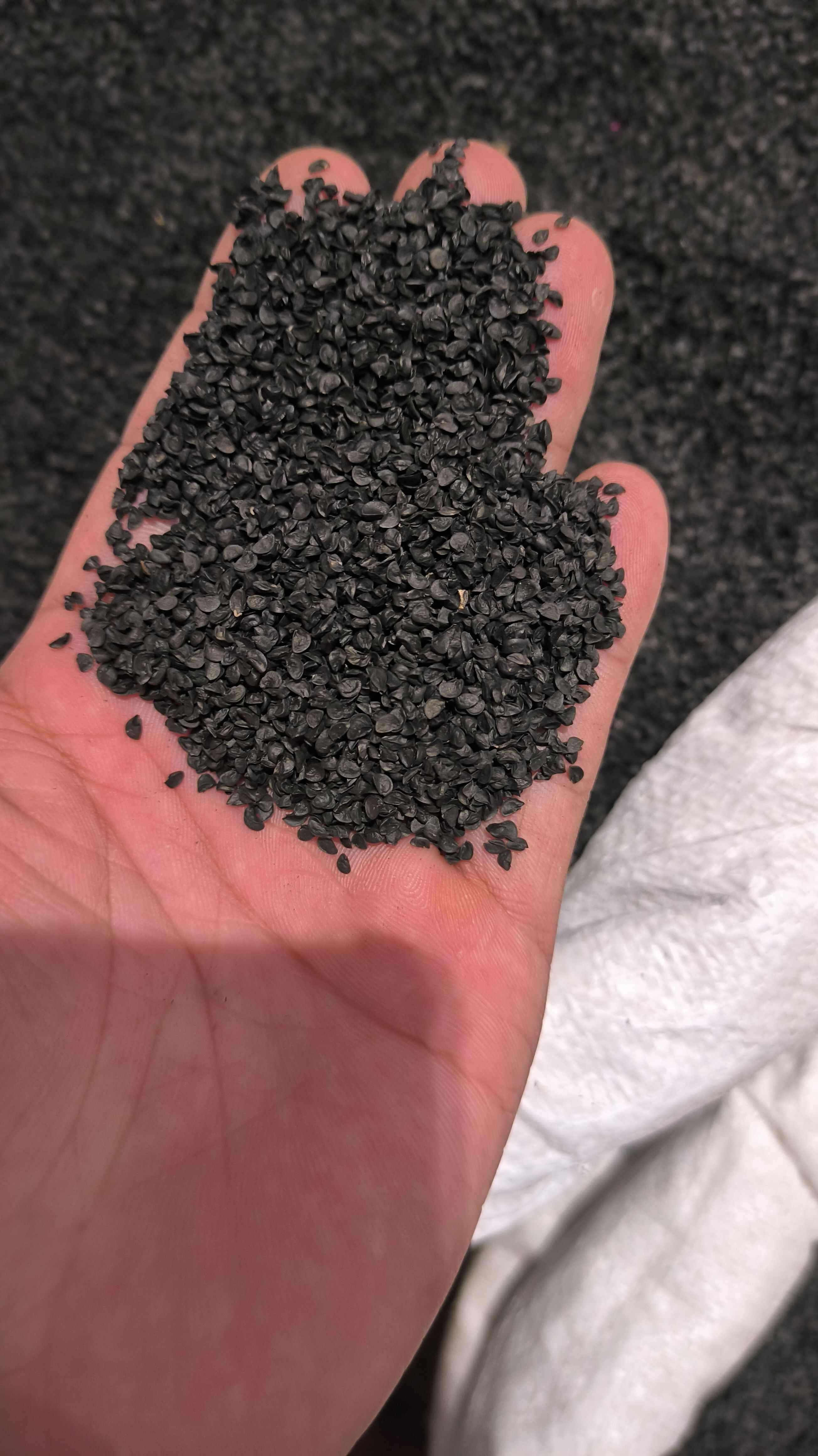 韭菜籽 正品 无硫 质量保证 诚信经营 量大从优欢迎咨询
