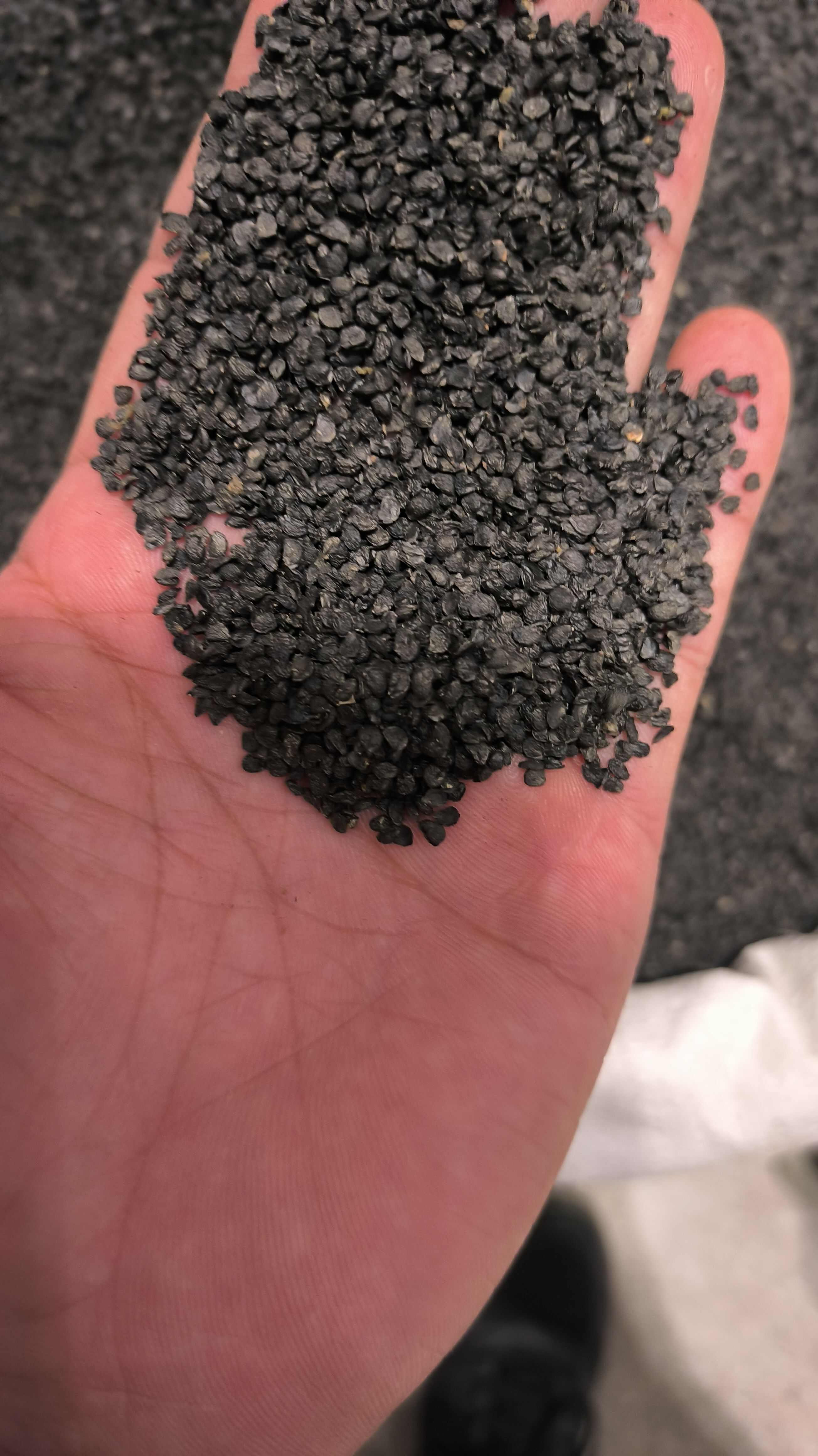 韭菜籽 正品 无硫 质量保证 诚信经营 量大从优欢迎咨询
