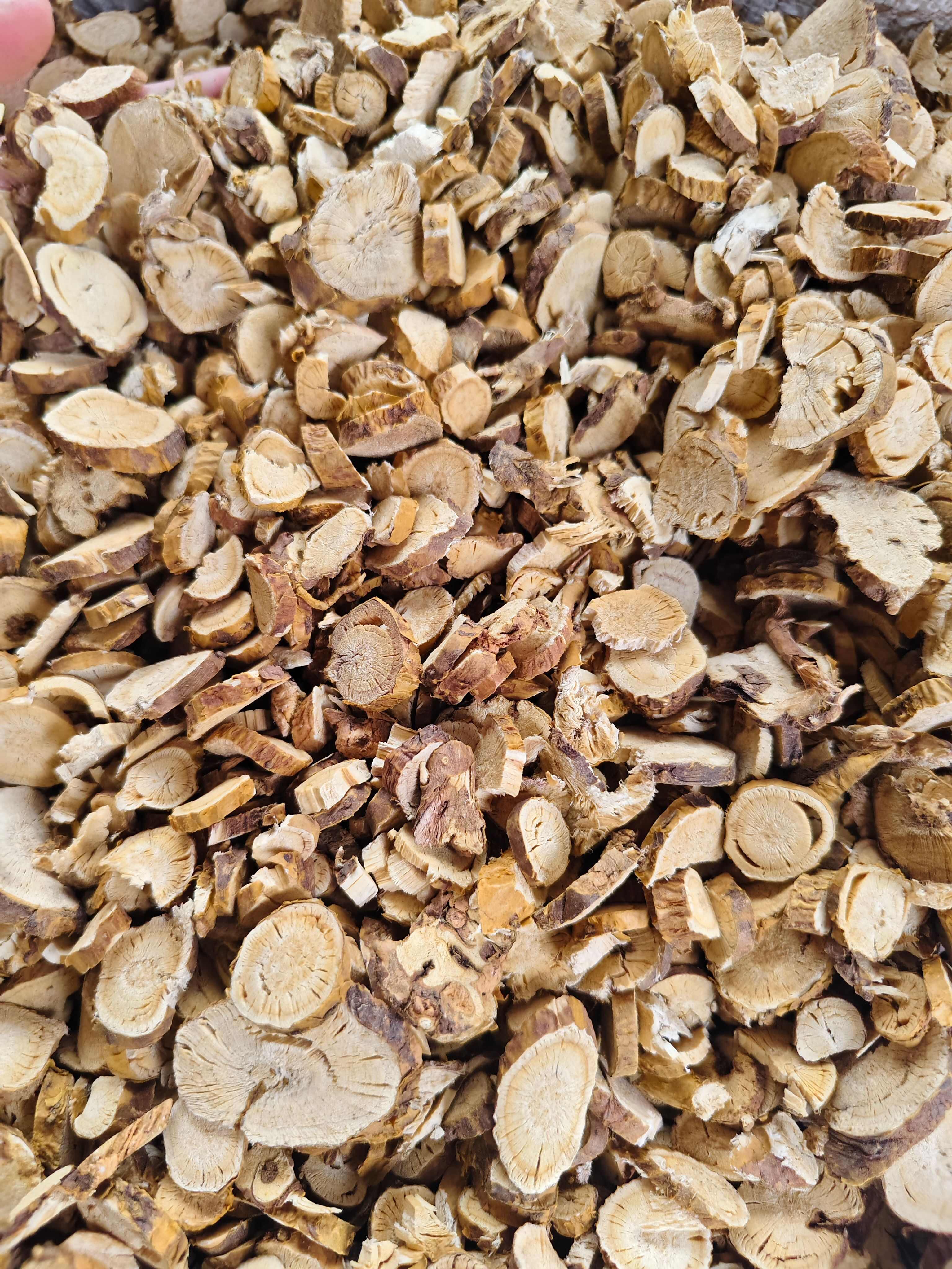 苦参 各种规格苦参切片齐全 批发零售