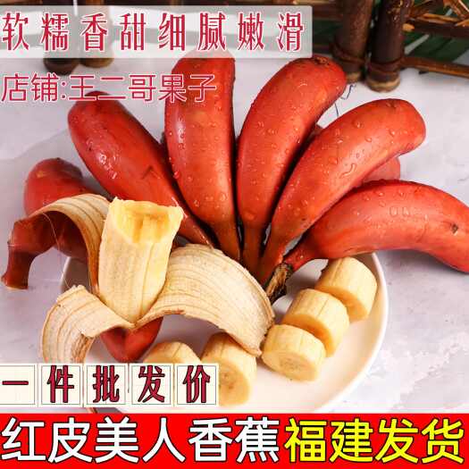 南靖县福建红香蕉新鲜水果现摘当季5斤正宗小香焦红皮芭蕉米蕉