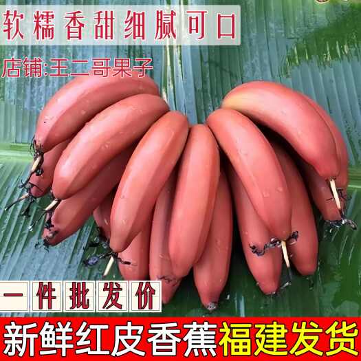 南靖县红美人香蕉应季水果红皮香蕉新鲜水果批发整箱批发红.支持一件批