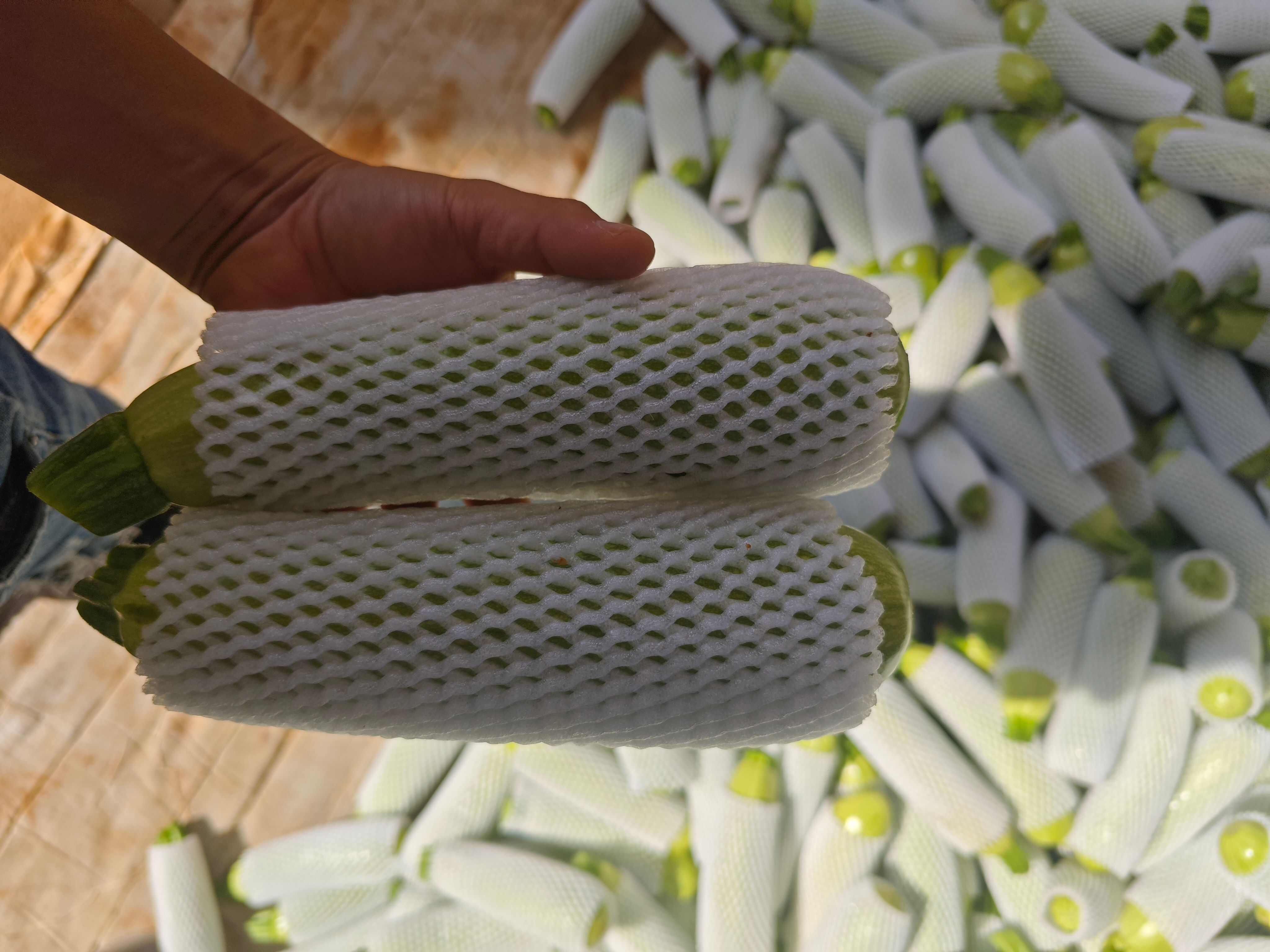 云南玉溪华宁绿皮西葫芦 新鲜蔬菜瓜菜类产地直发