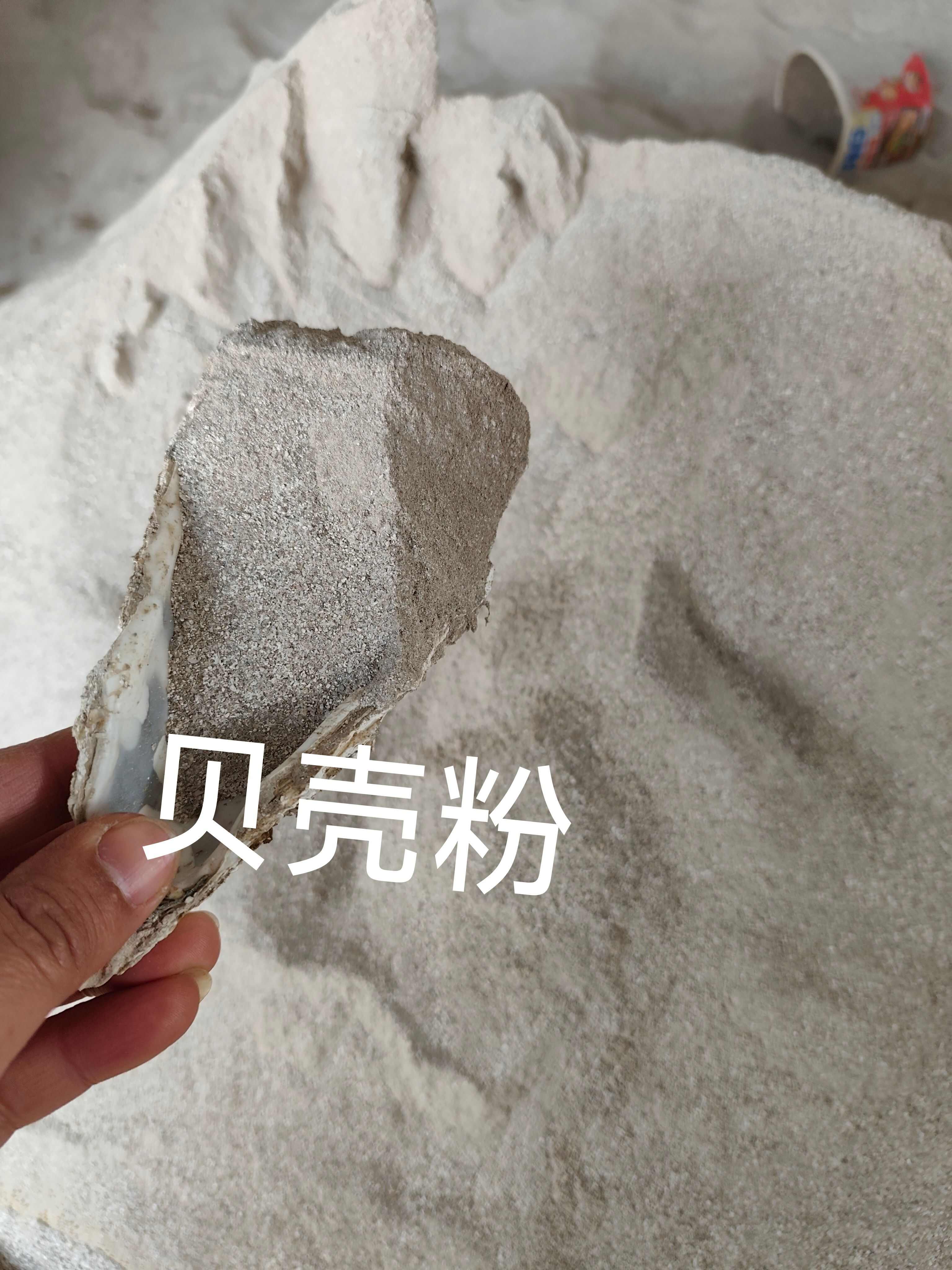 饲料添加剂贝壳粉补钙