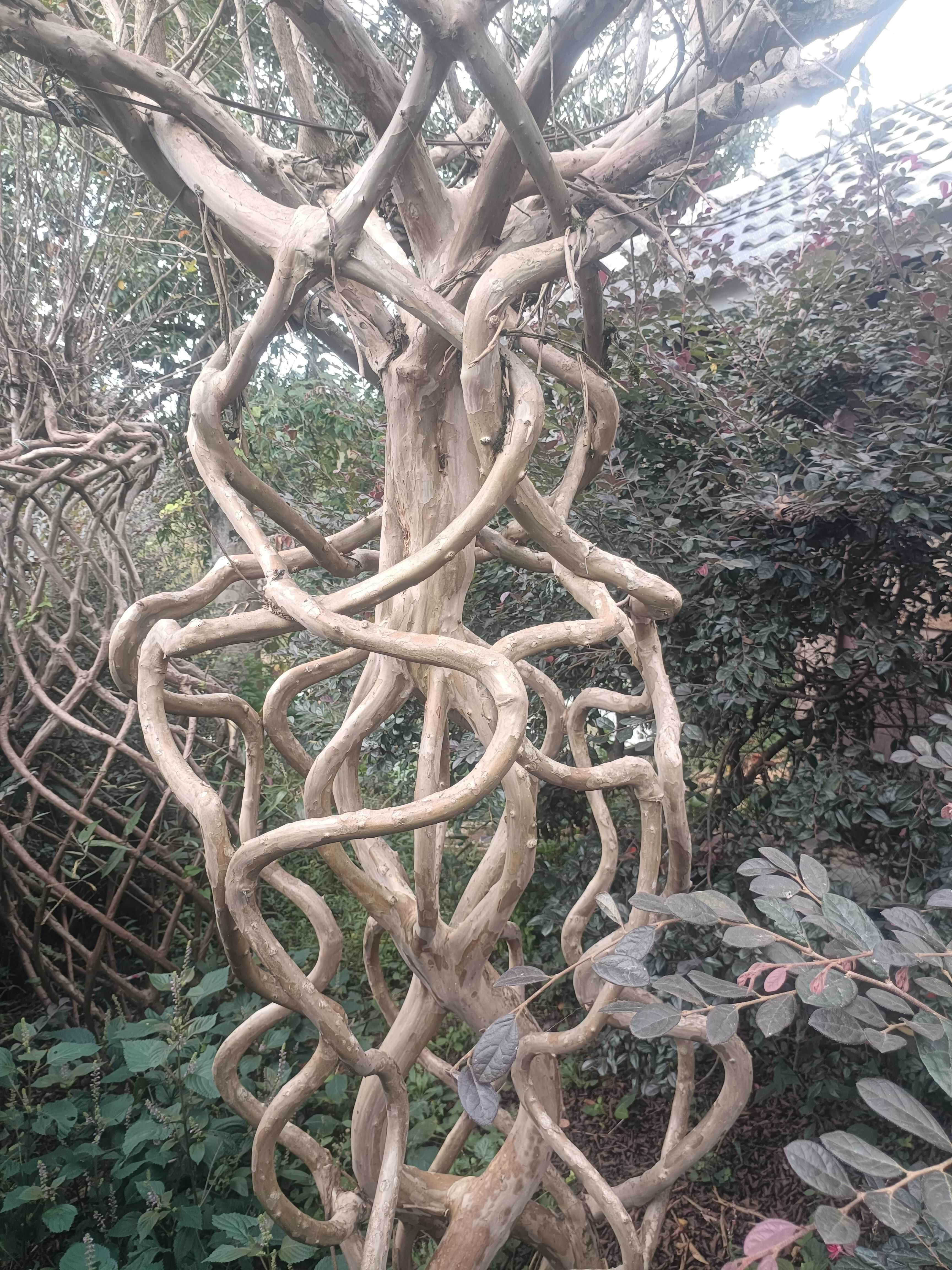 精品老紫薇有需要的联系