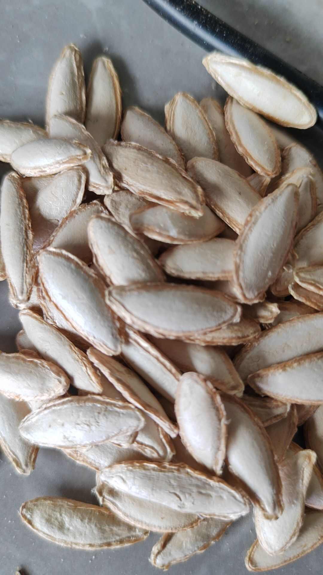 云南长颗粒毛边南瓜子