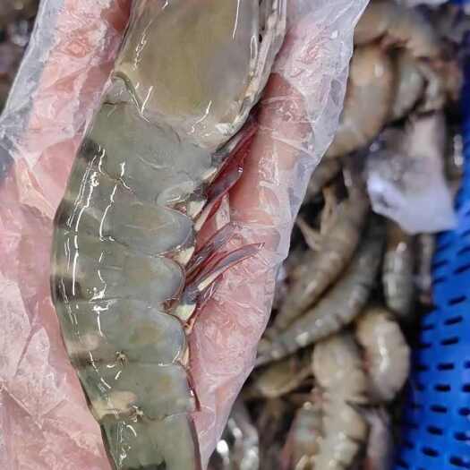 烟台越南黑虎虾大虾特大号冻虾鲜活超大海鲜水产冷冻