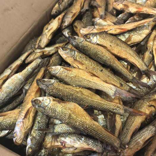 资兴市鱼干湖南烟熏剖肚火焙鱼 红眼睛鱼 火焙刁子鱼 干鱼干货批发