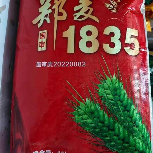宿迁国审品种郑麦1835小麦种子  双国审品种山农28号小麦种子