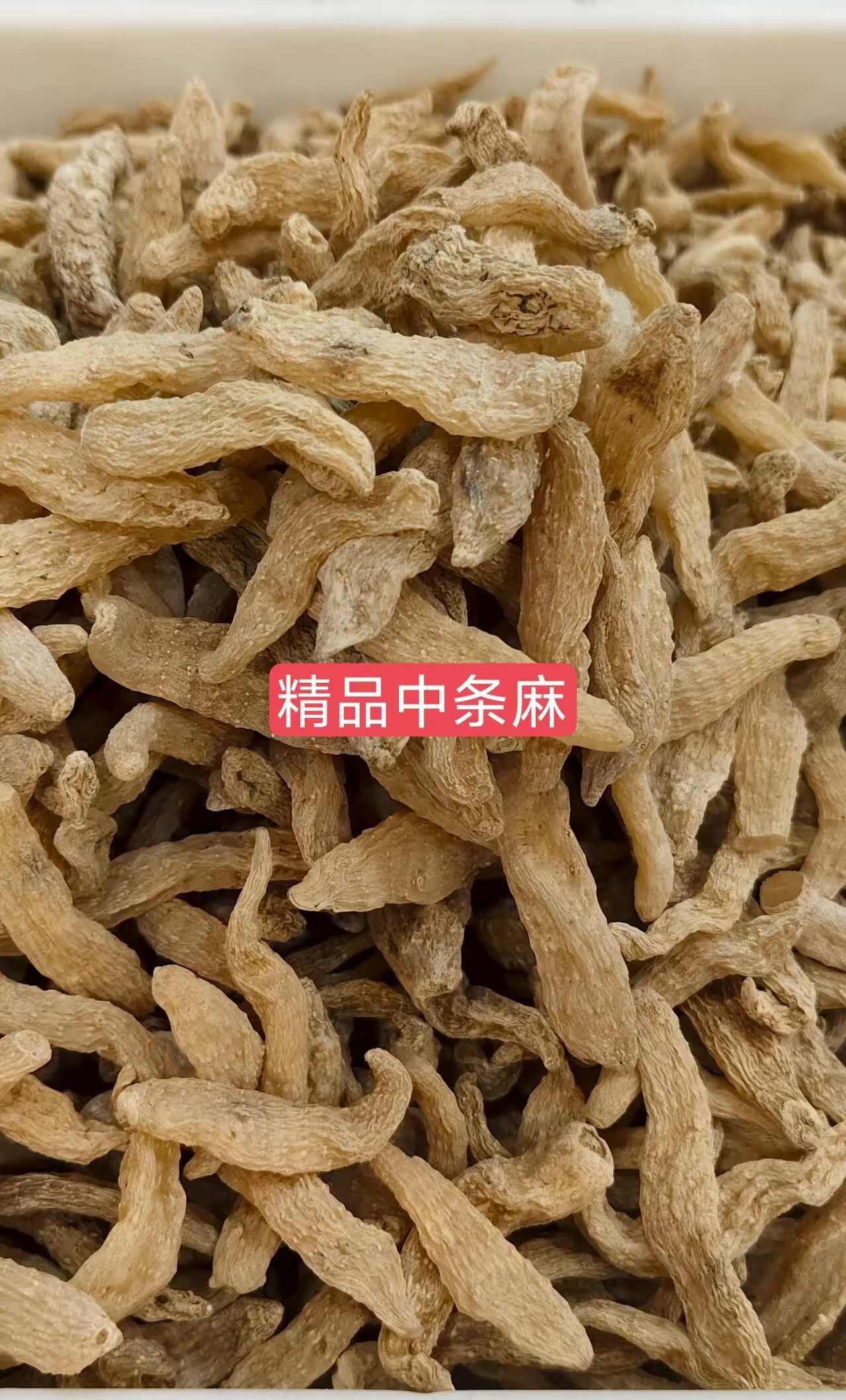 长沙天麻  精选条子麻  大 中 小  通货