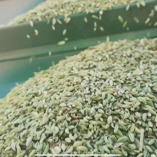 山丹县精品孜然小茴香 原产地直发 量大价优