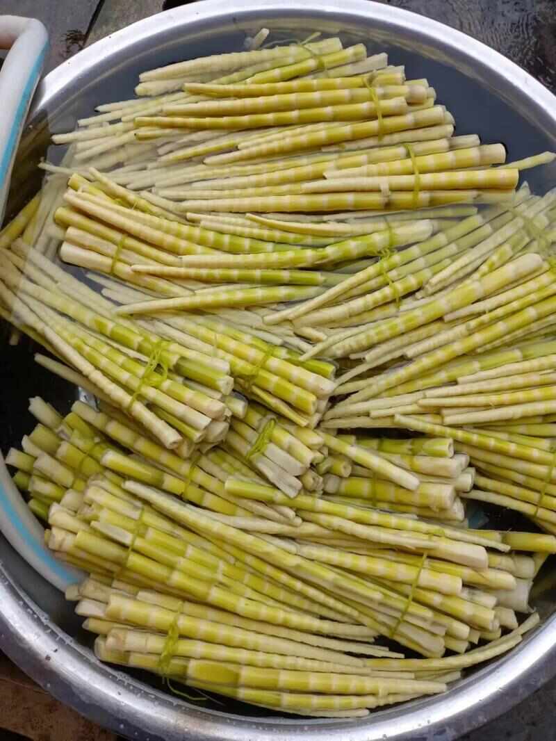 刺竹笋大量出售