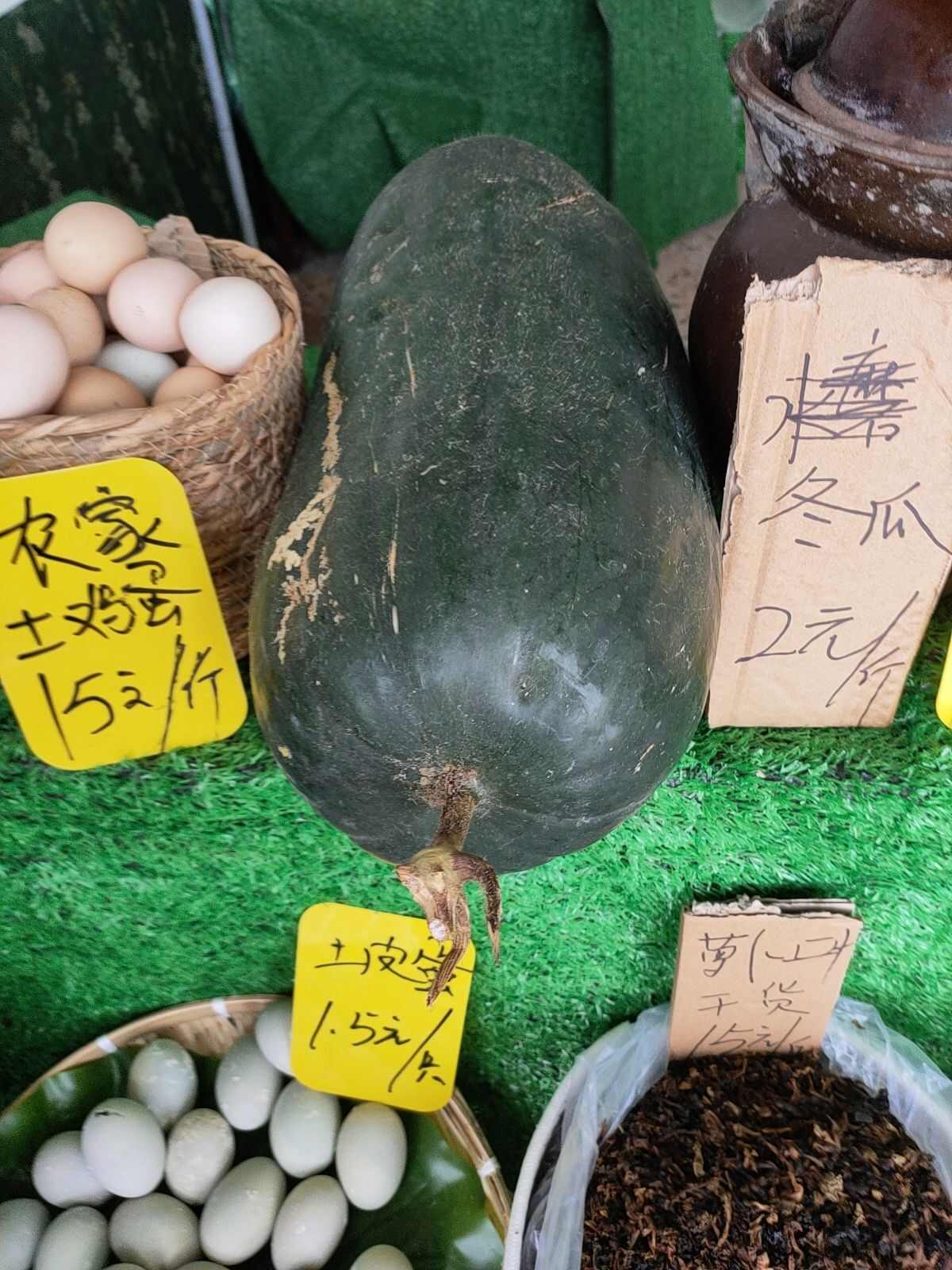 农户冬瓜