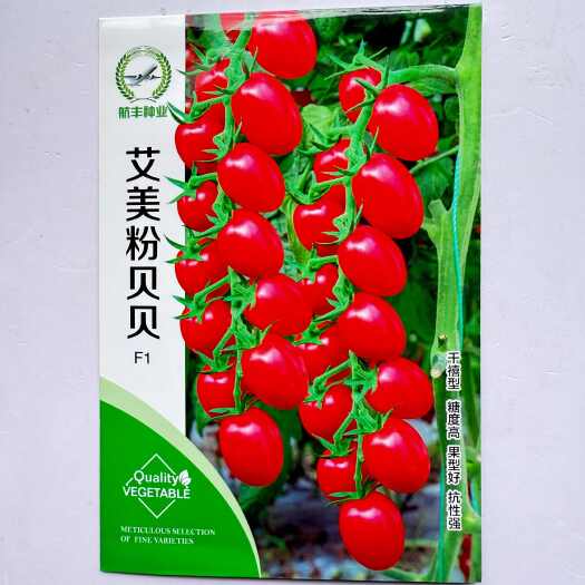 沭阳县艾美粉贝贝小番茄种子糖度高果型好千禧种抗性高粉色樱桃番茄种子