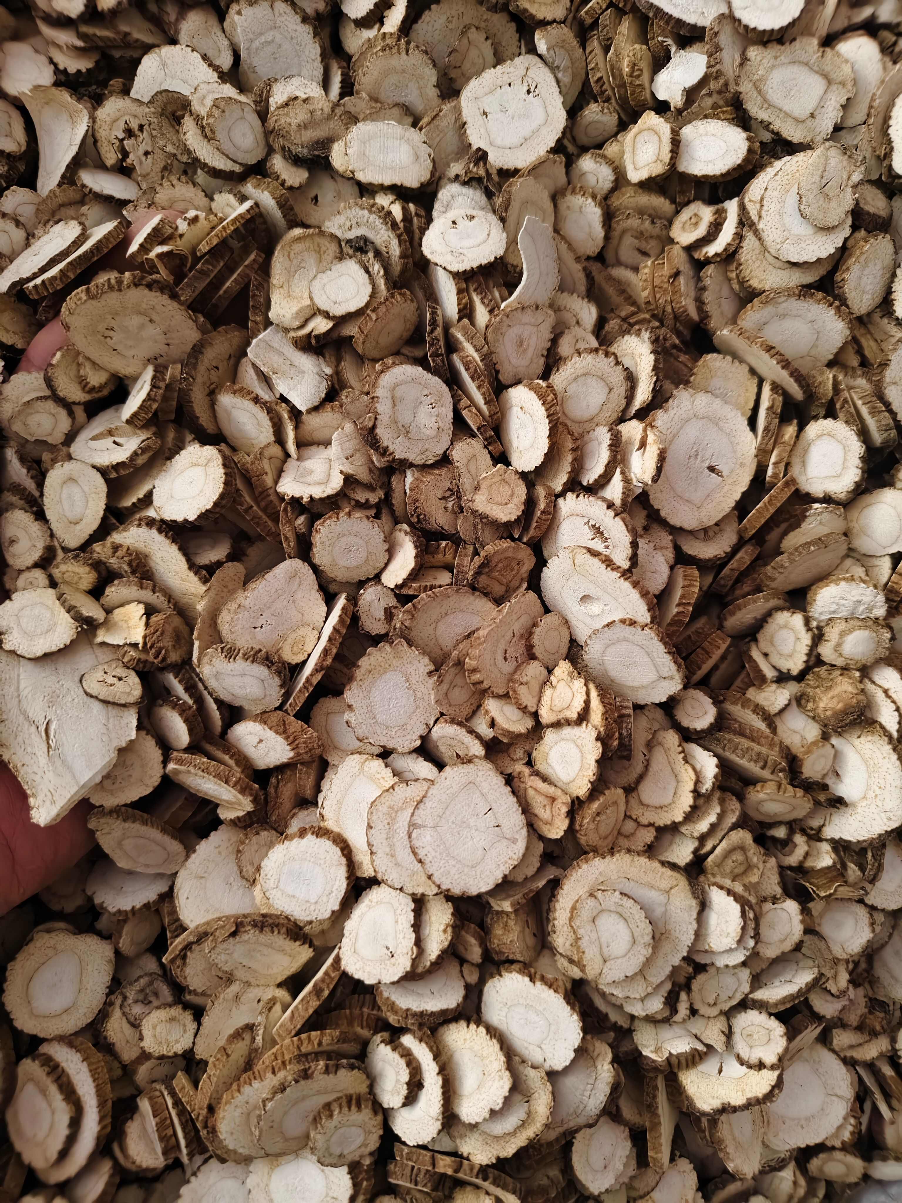 白芷 新货白芷切片规格齐全 批发零售