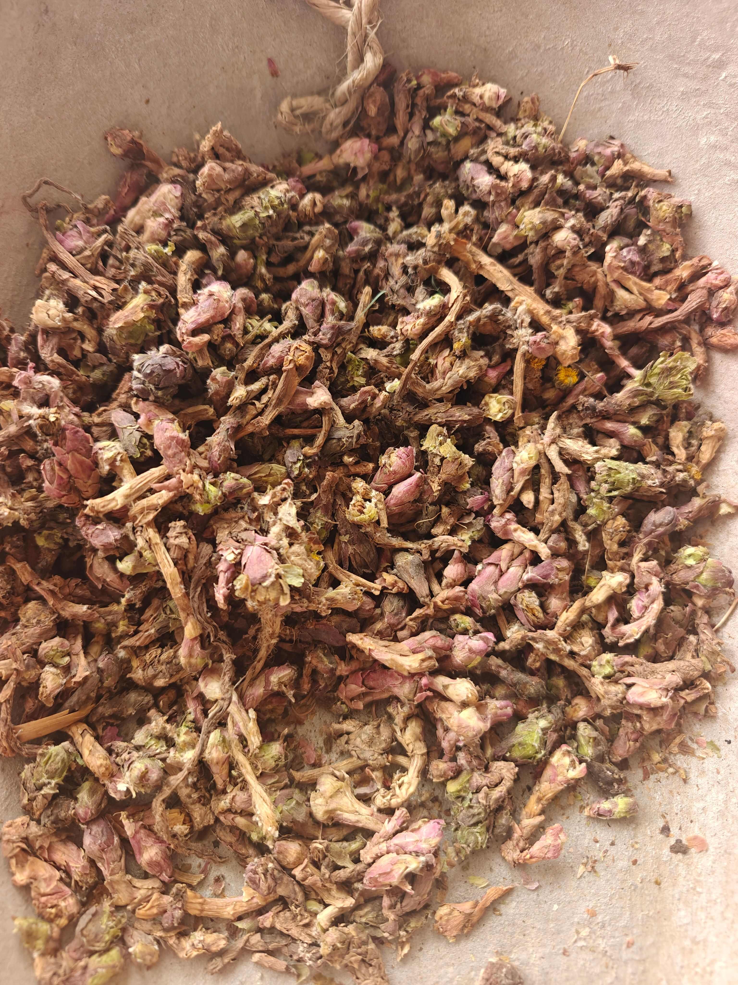 款冬花中药材  规格齐全  批发零售  量大从优