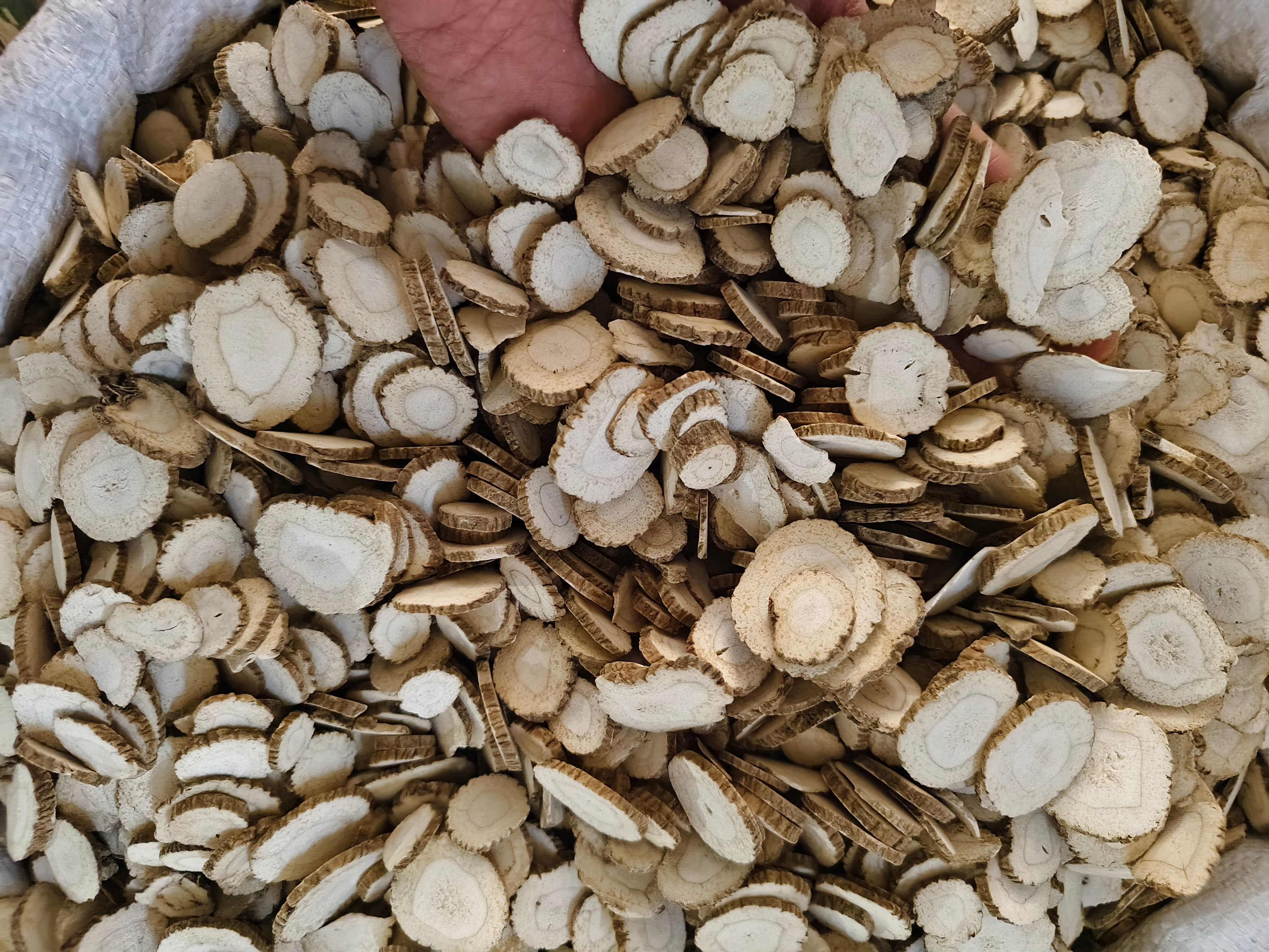 白芷 新货白芷切片规格齐全 批发零售