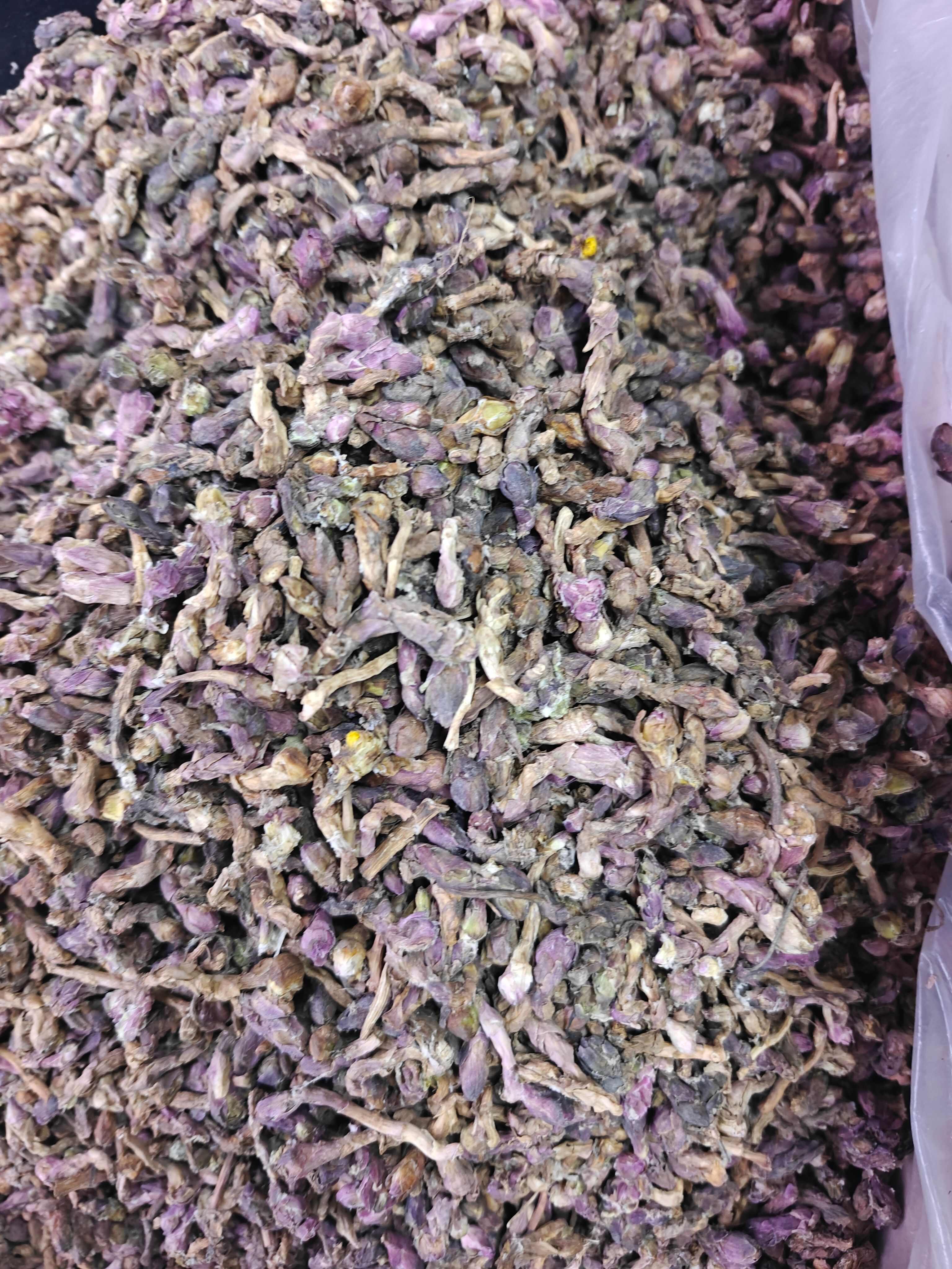 款冬花中药材  规格齐全  批发零售  量大从优