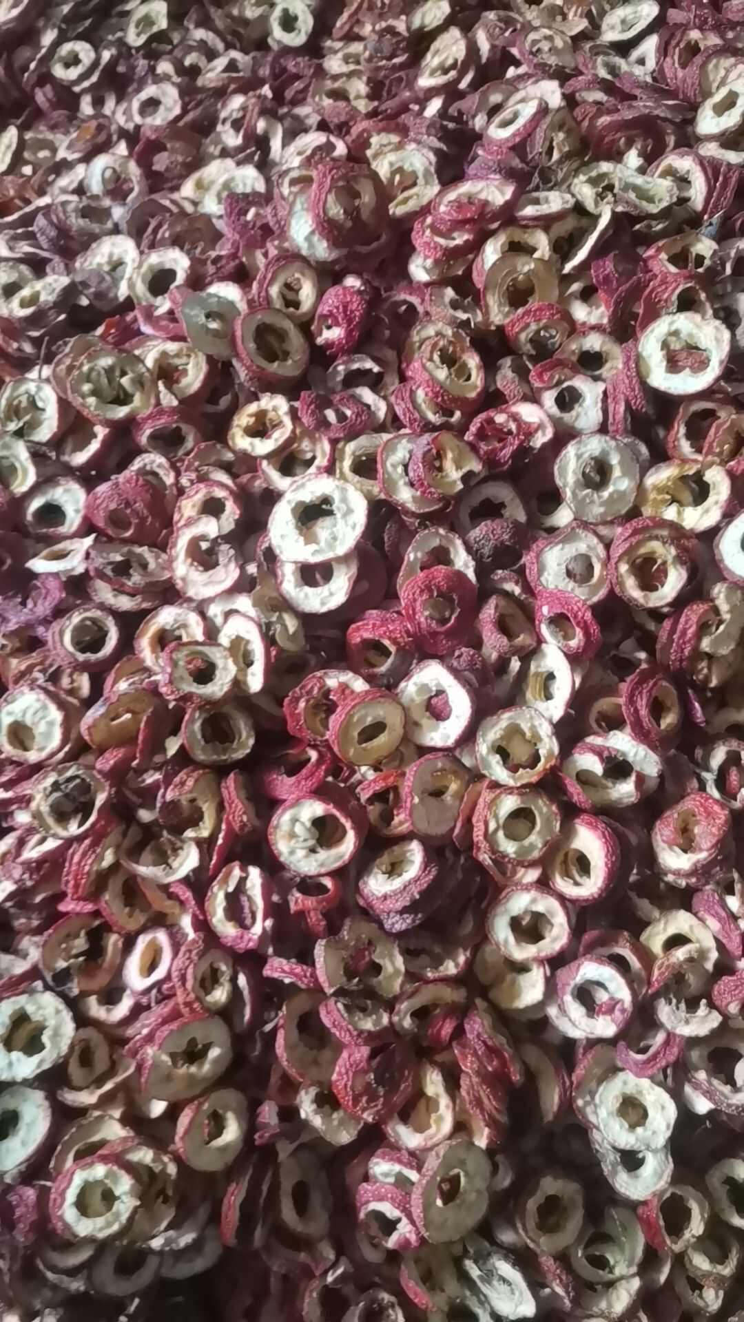 2025最新日期新货，全年供应大货山楂干，各种规格价位均有货