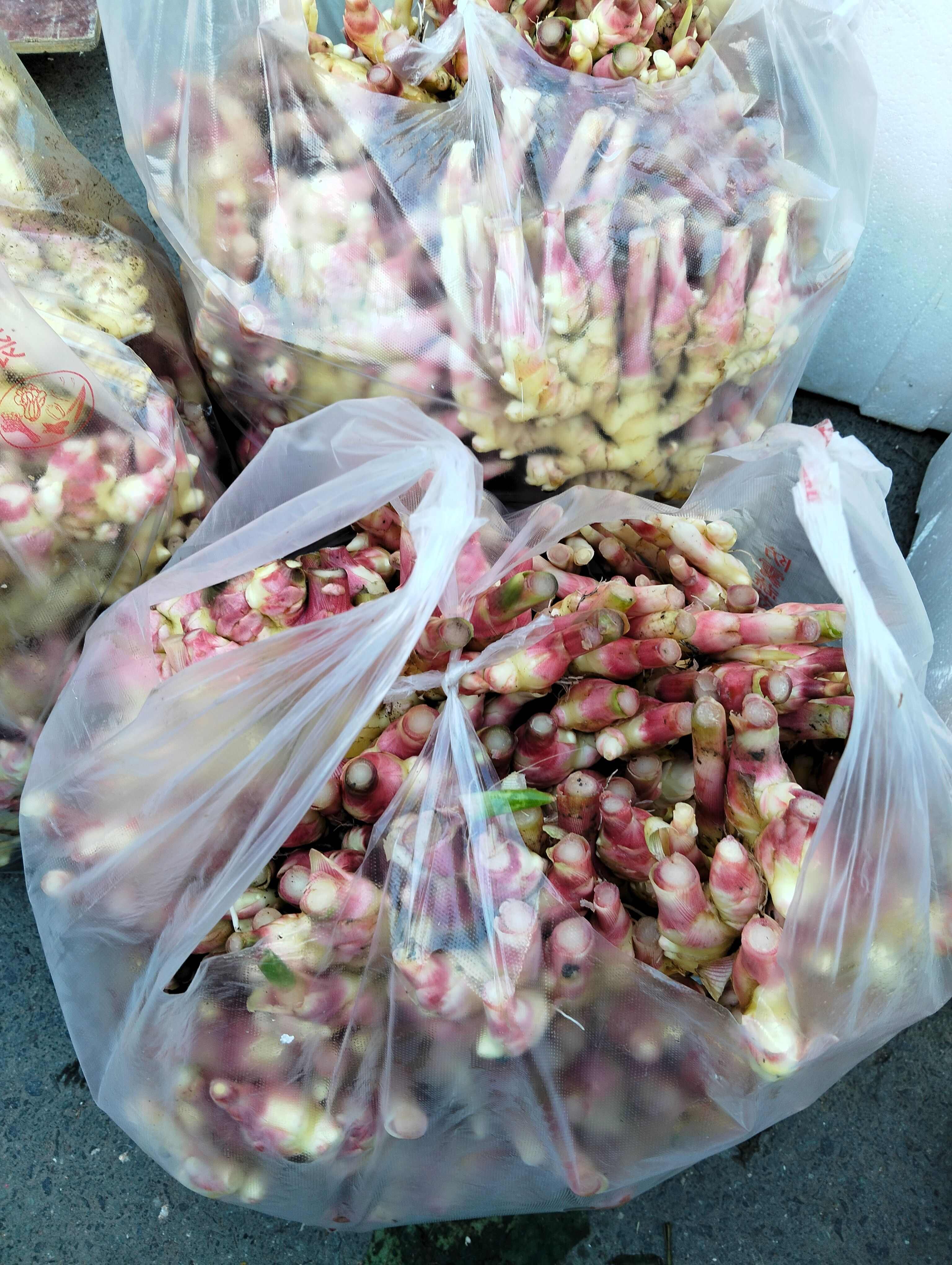 磐安高山嫩姜红爪姜水洗姜泥姜大量上市