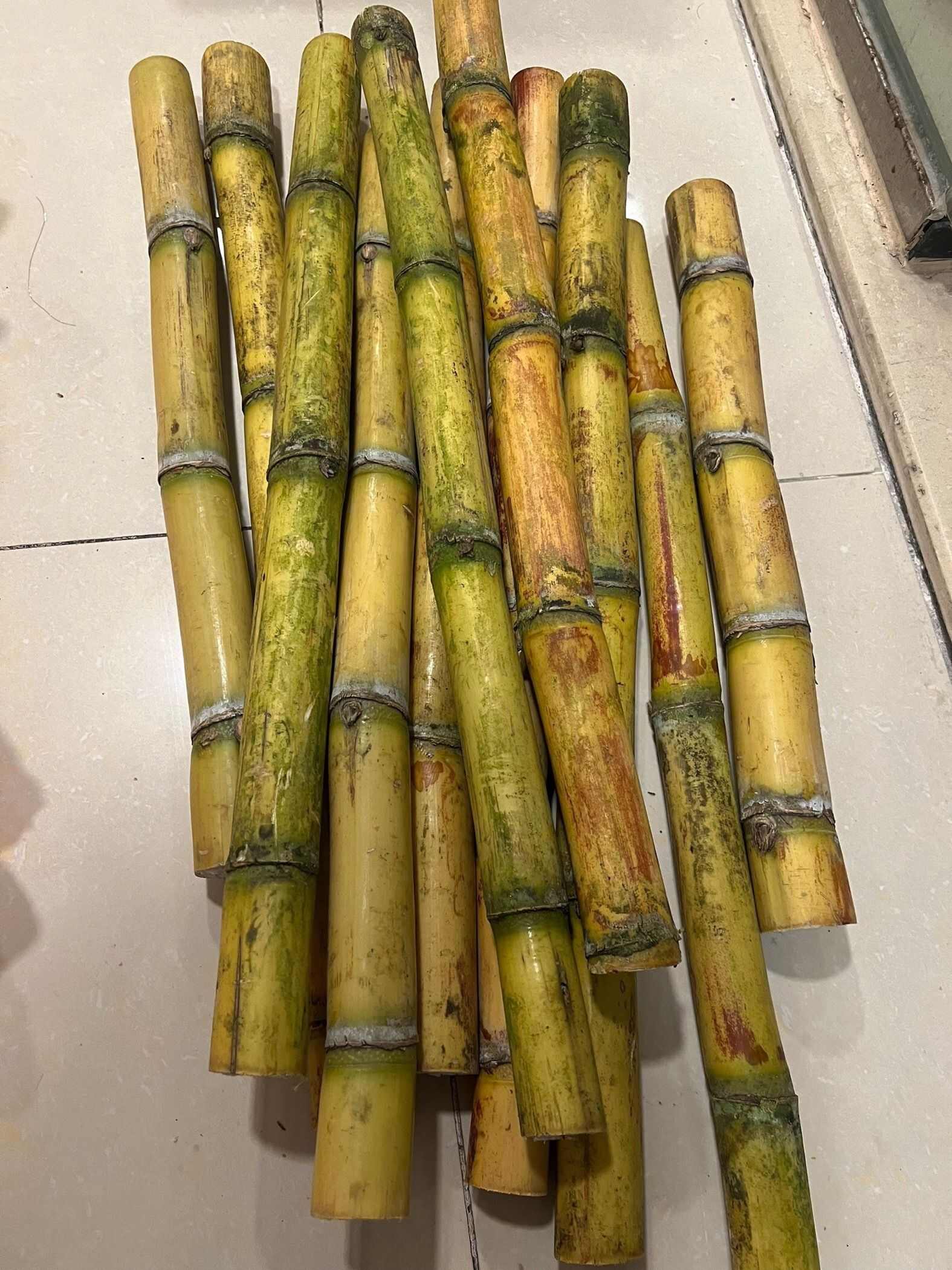 云南青皮金黄甘蔗，季新鲜脆甘甜，欢迎老板选购
