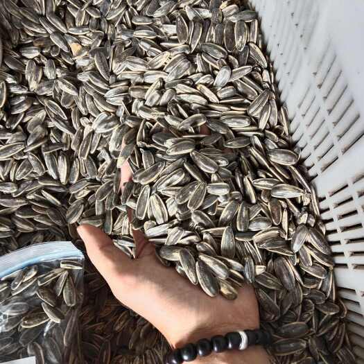 虞城县内蒙河南厂家直销，生熟瓜子大量现货，支持一件代发