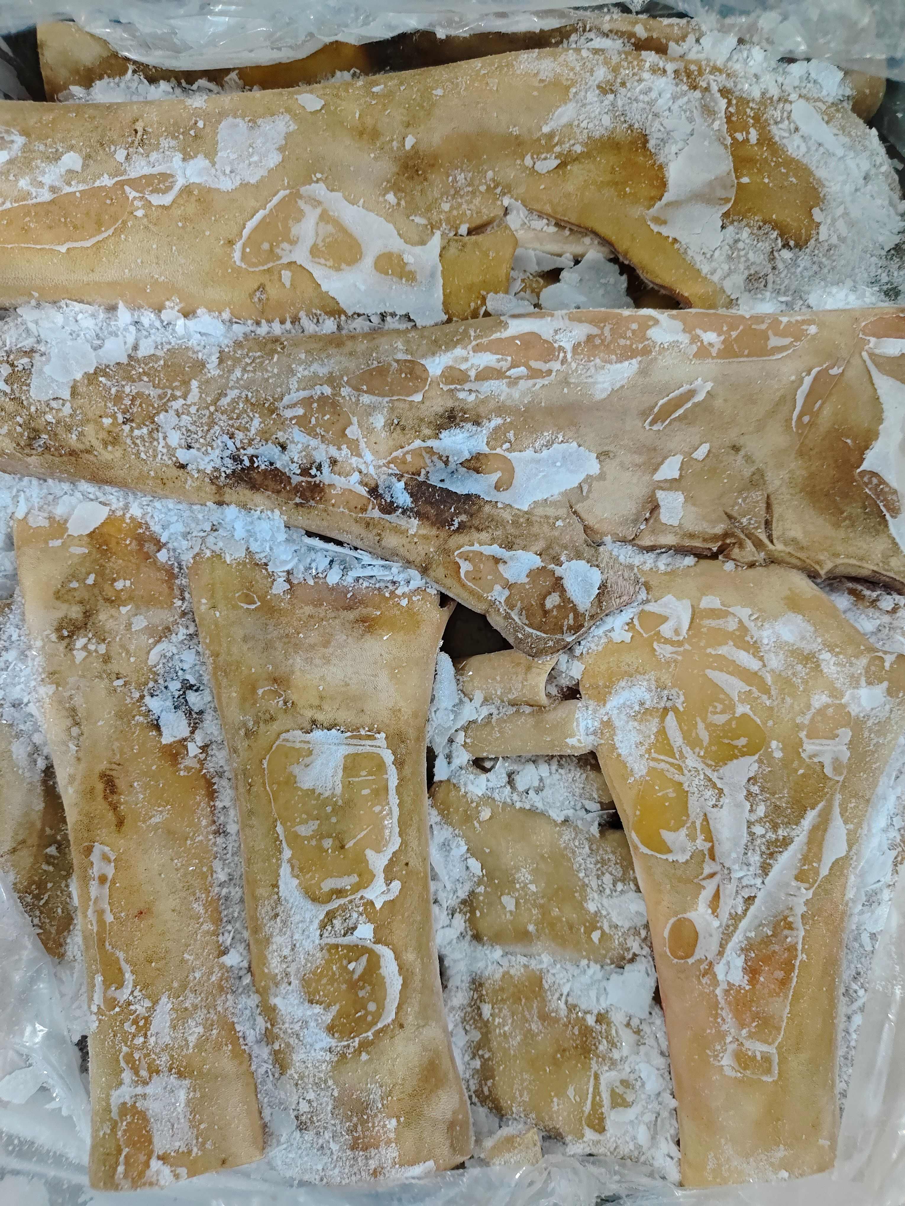 牛蹄皮，锡盟工厂，常年供货，手续齐全，质量保证，全国发货