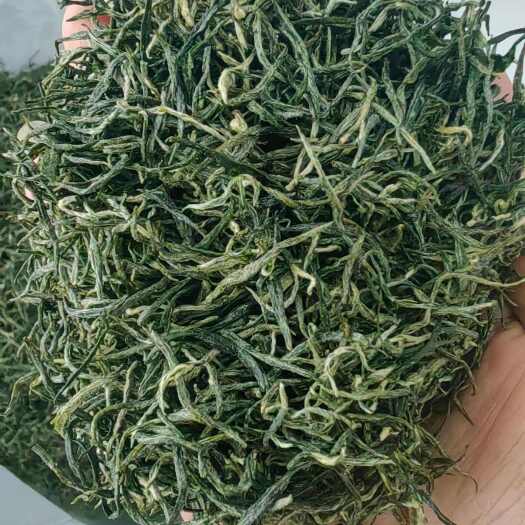 信阳毛尖茶绿茶 信阳毛尖新茶头采小芽自产自销